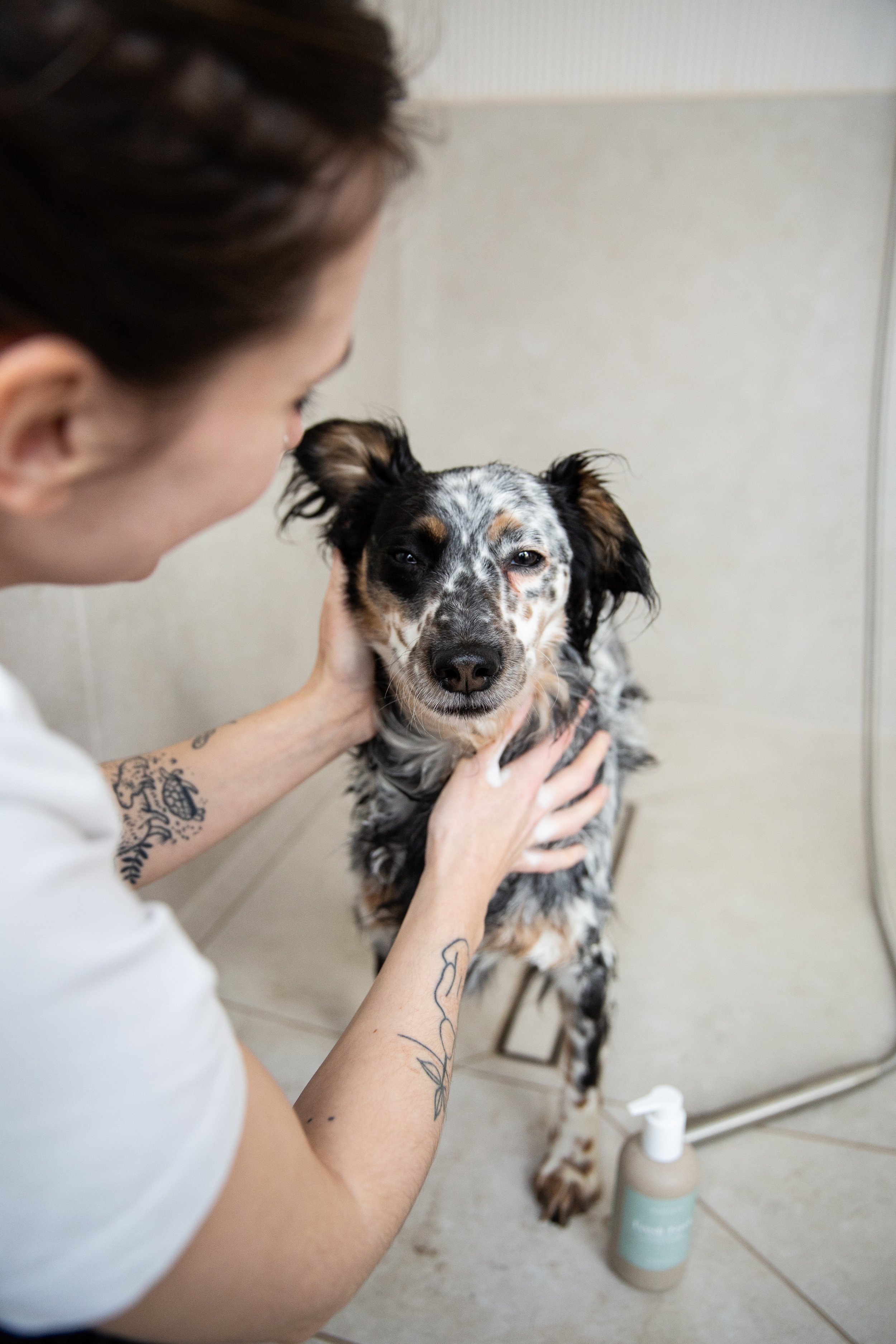 Dog in the shower 