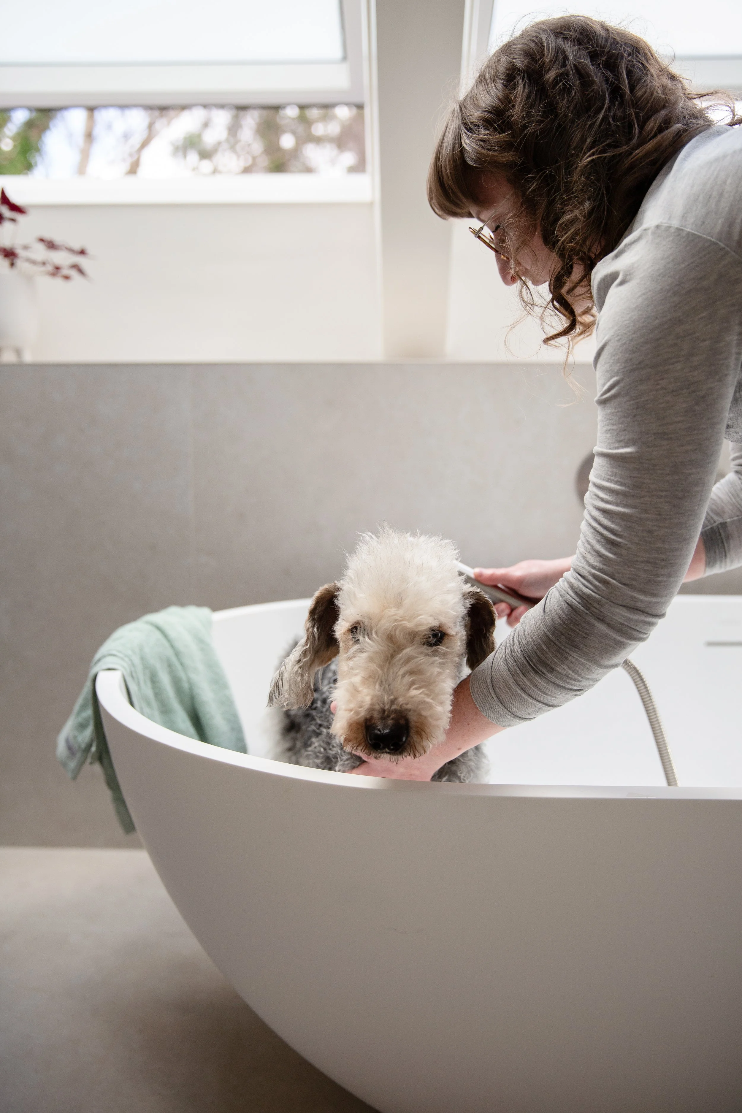 Dog bath 