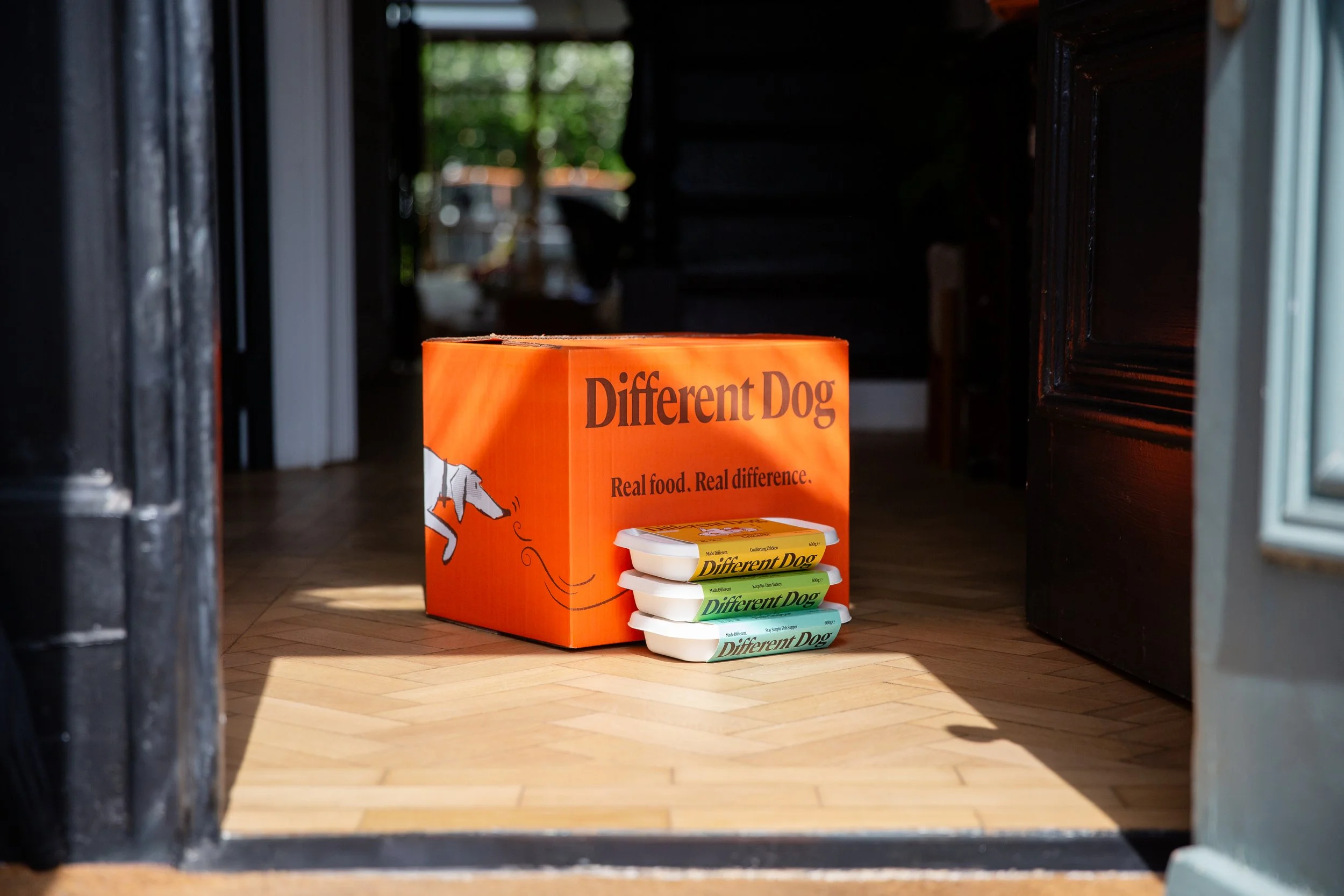 Different Dog dog food 