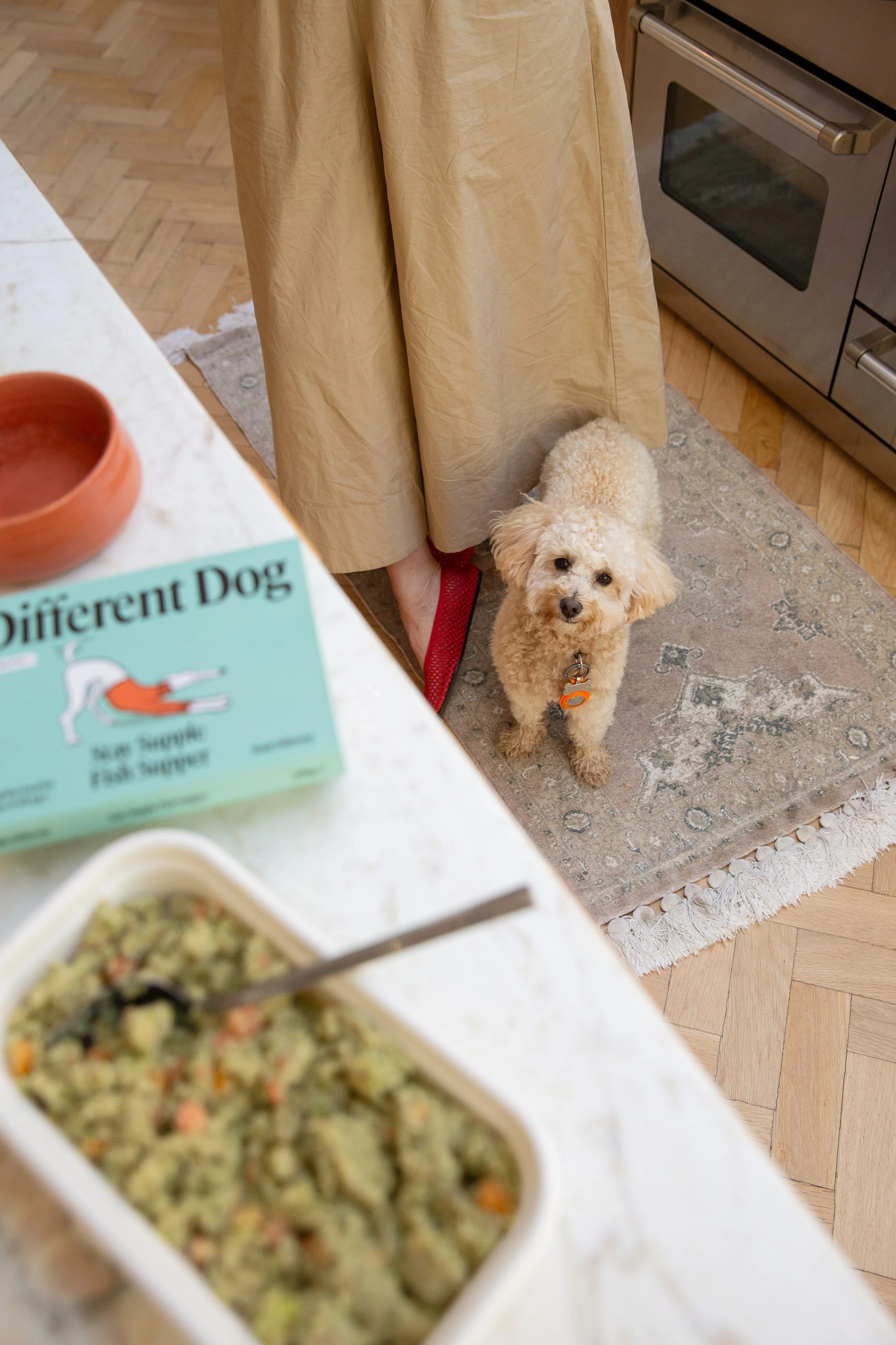 Different Dog dog food .jpg
