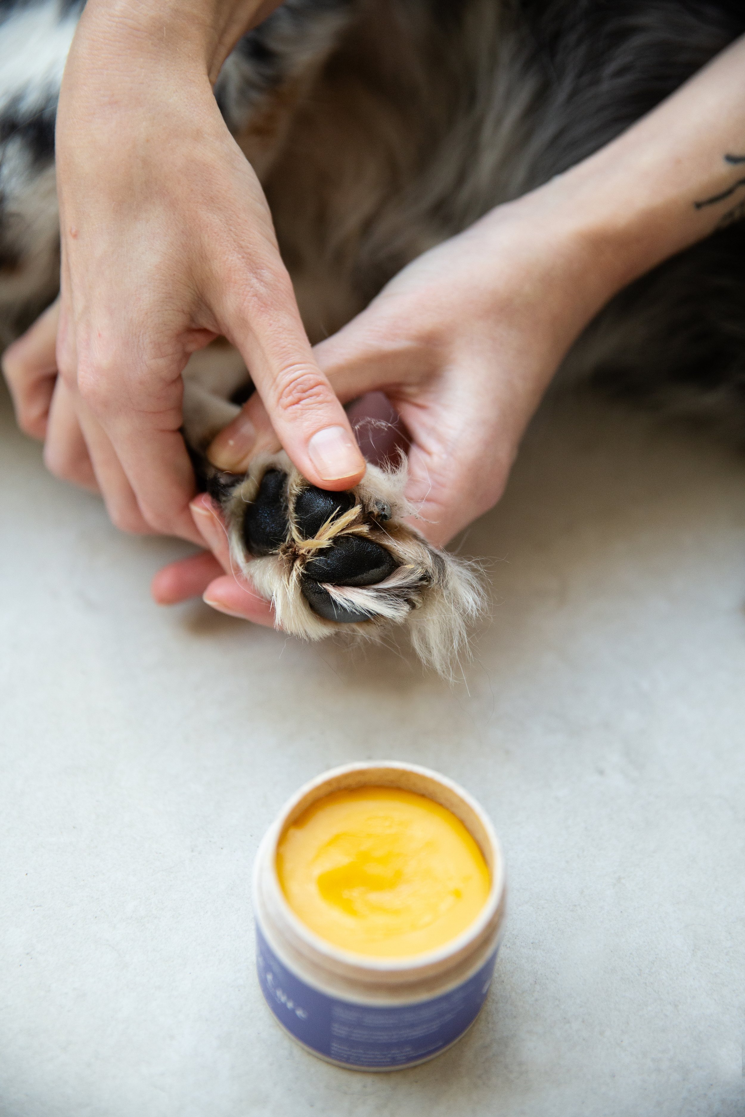 Pawness nose and paw balm