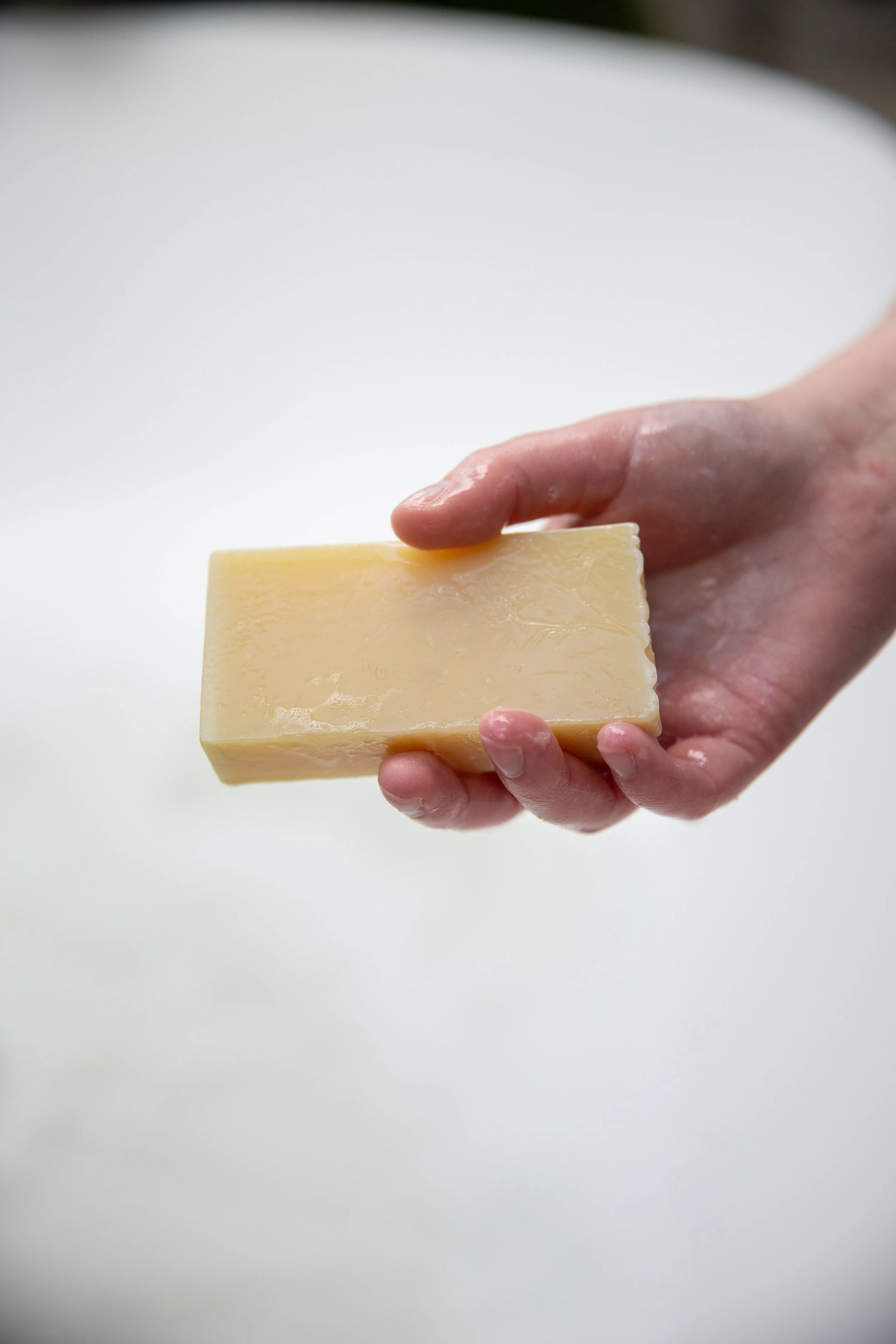 Pawness Dog Shampoo bar