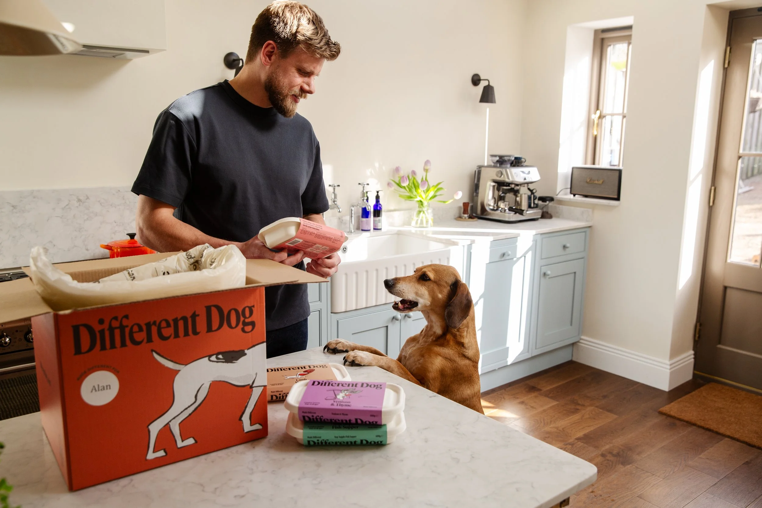 Commercial pet photographer Manchester.jpg