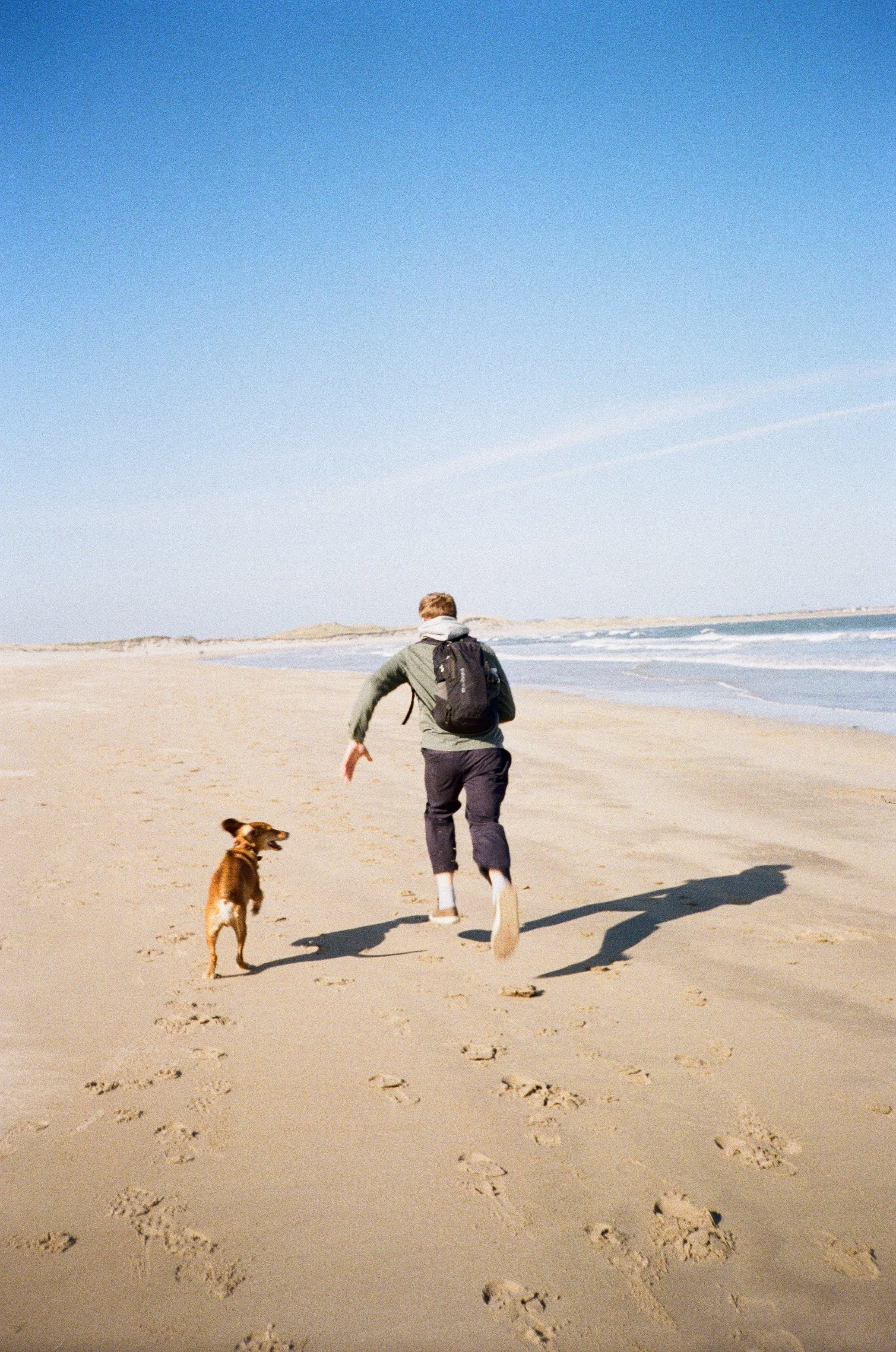 Pet photographer 35mm film