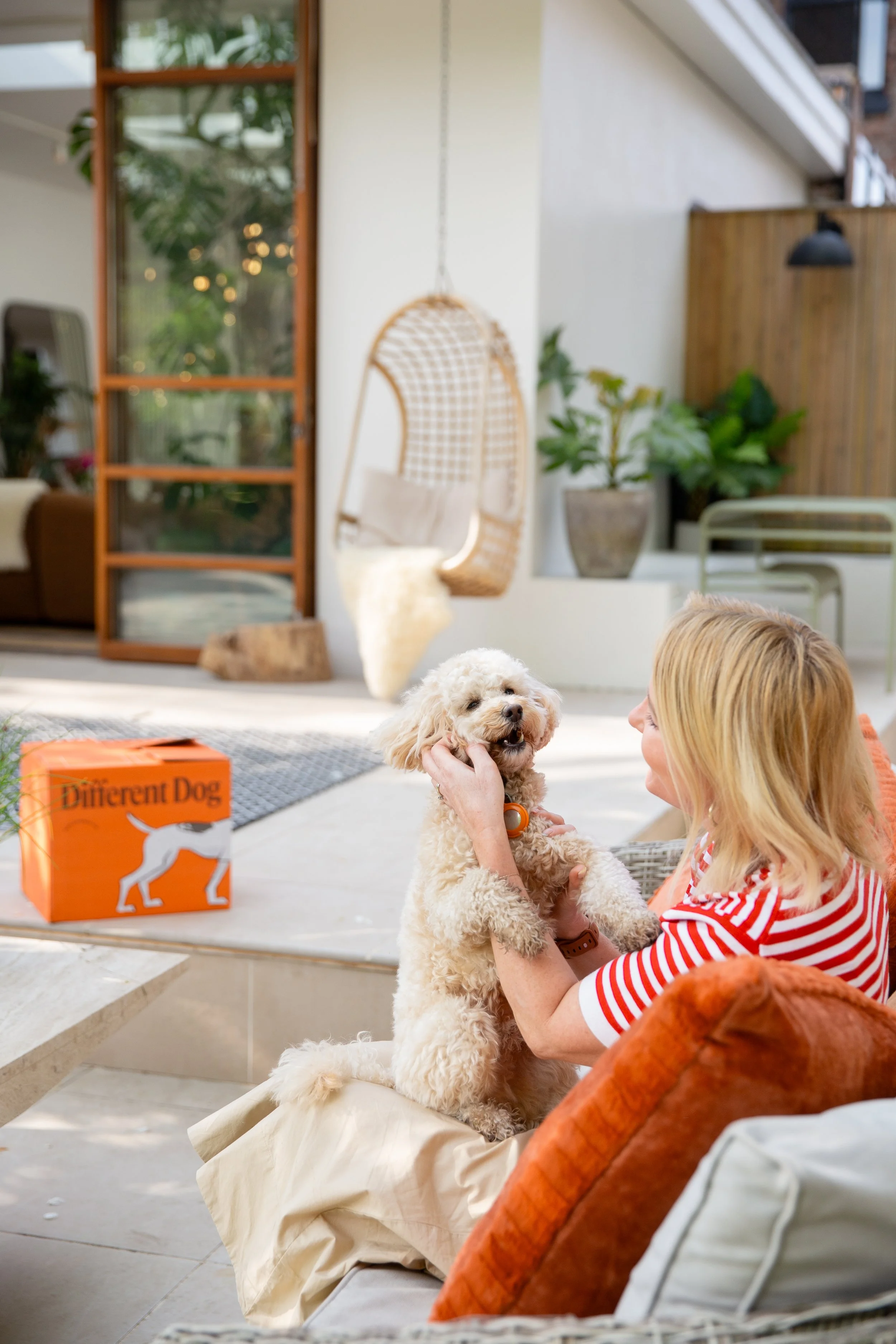 Commercial Dog Photographer UK .jpg