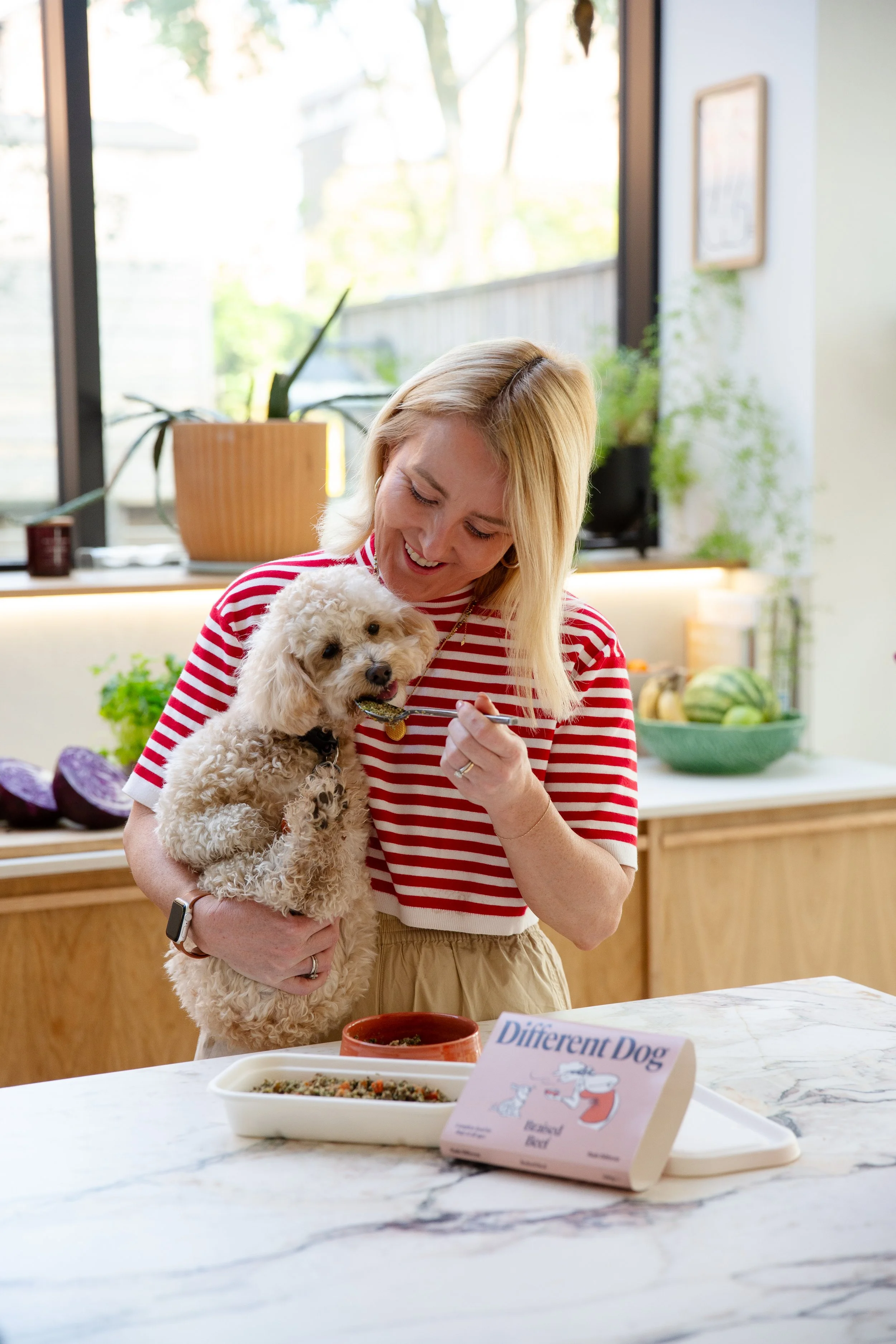 Commercial pet photographer.jpg