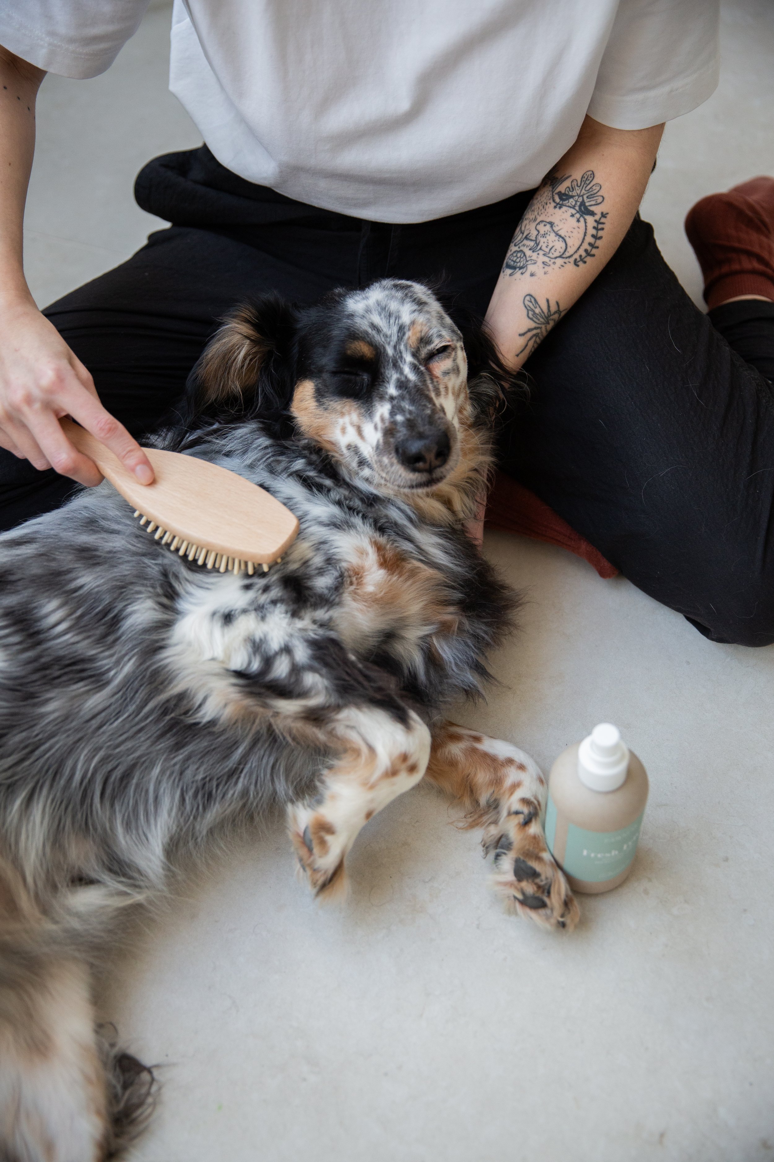Pawness dog brush 