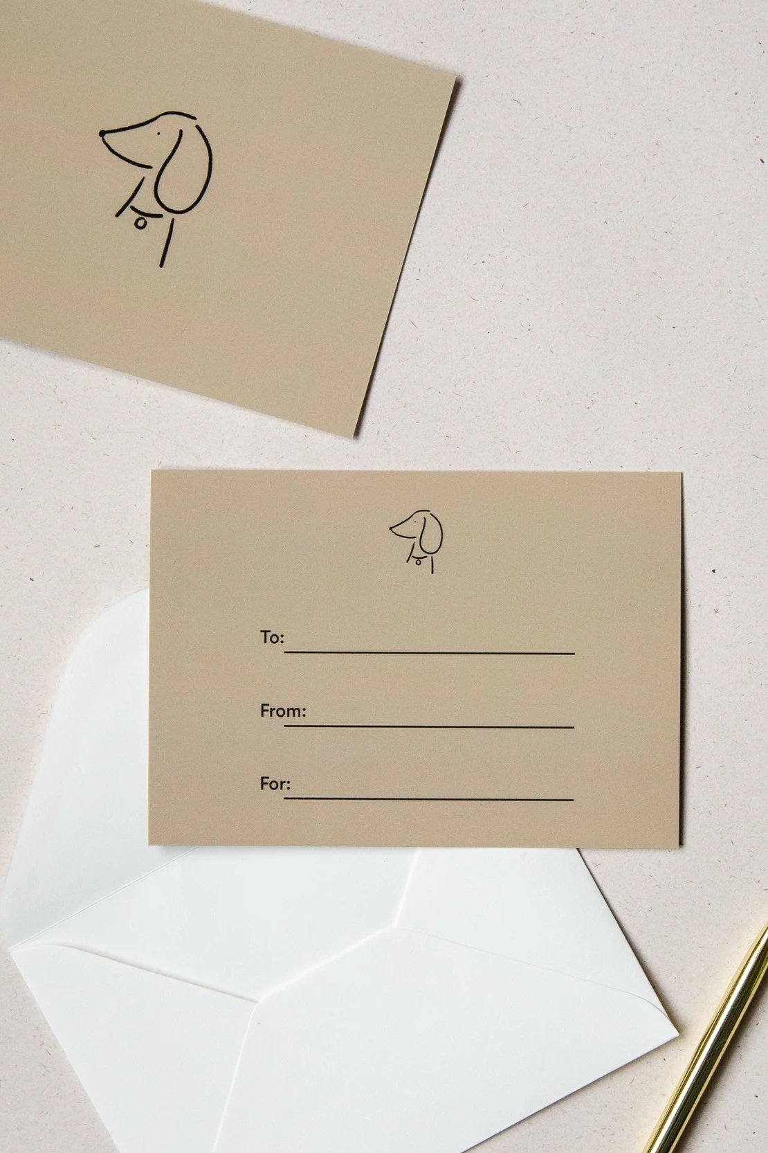 pet photoshoot gift card yorkshire