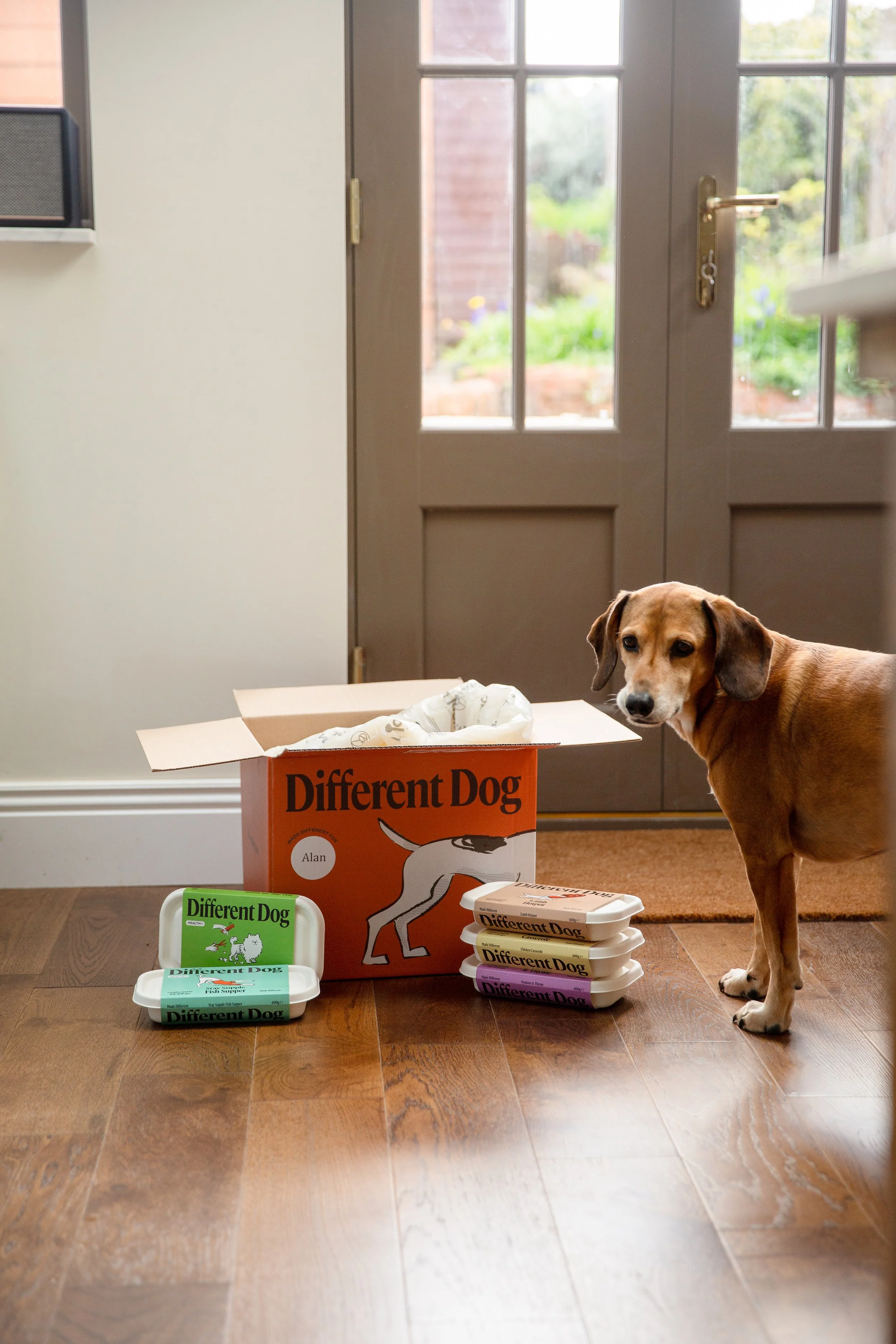 Dog food photographer UK.jpg