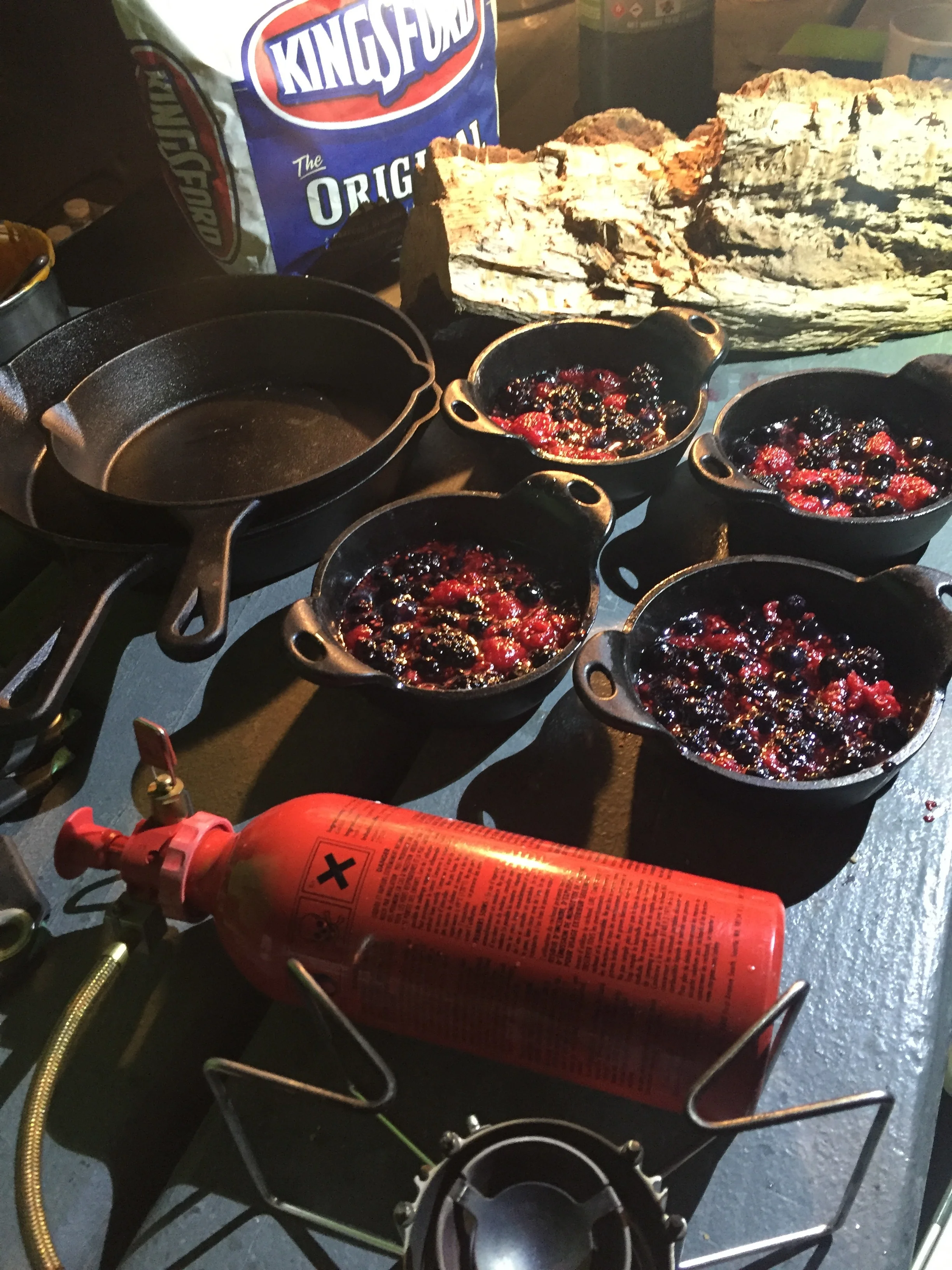 Cookbook Spotlight: Taming the Feast by Ben Ford (+ some of my favorite campground cooking tips)