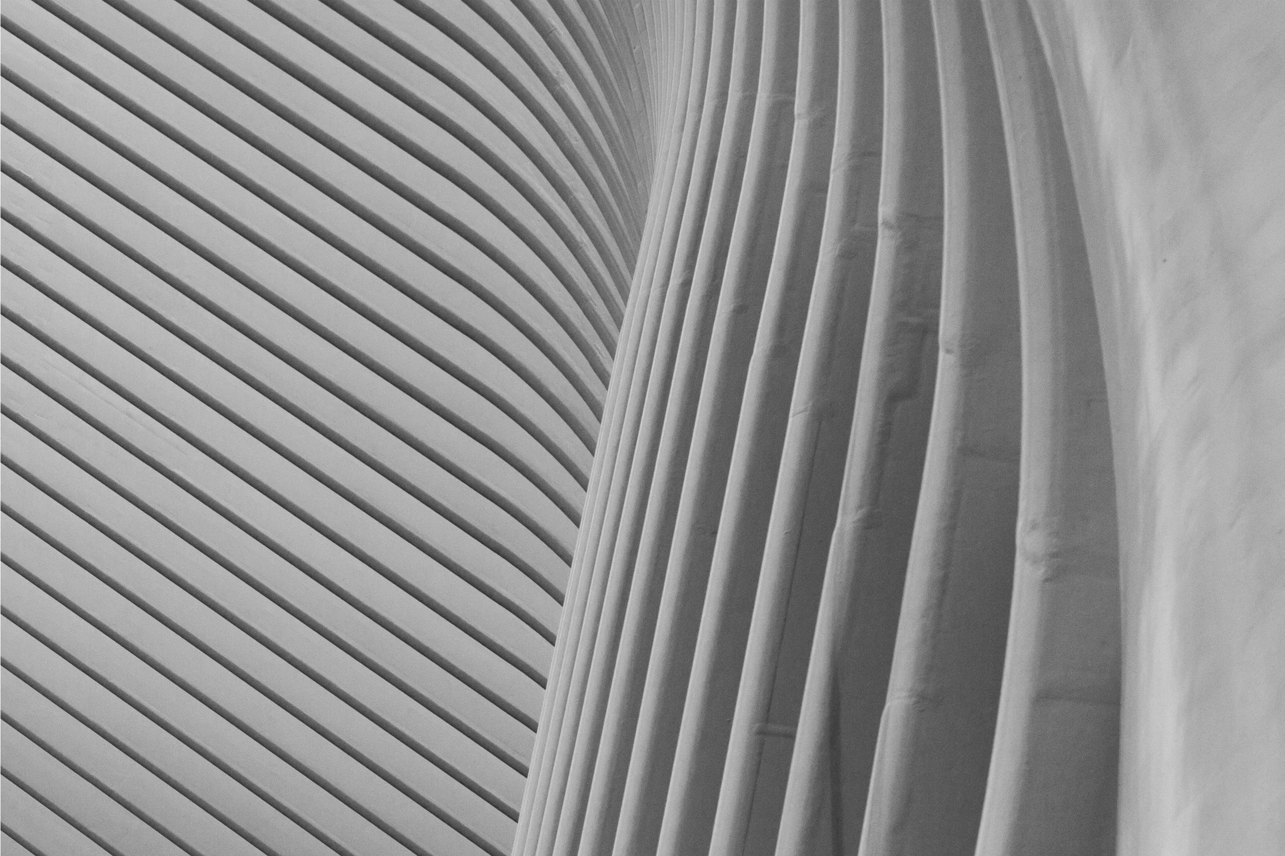 _LF_0197.jpg