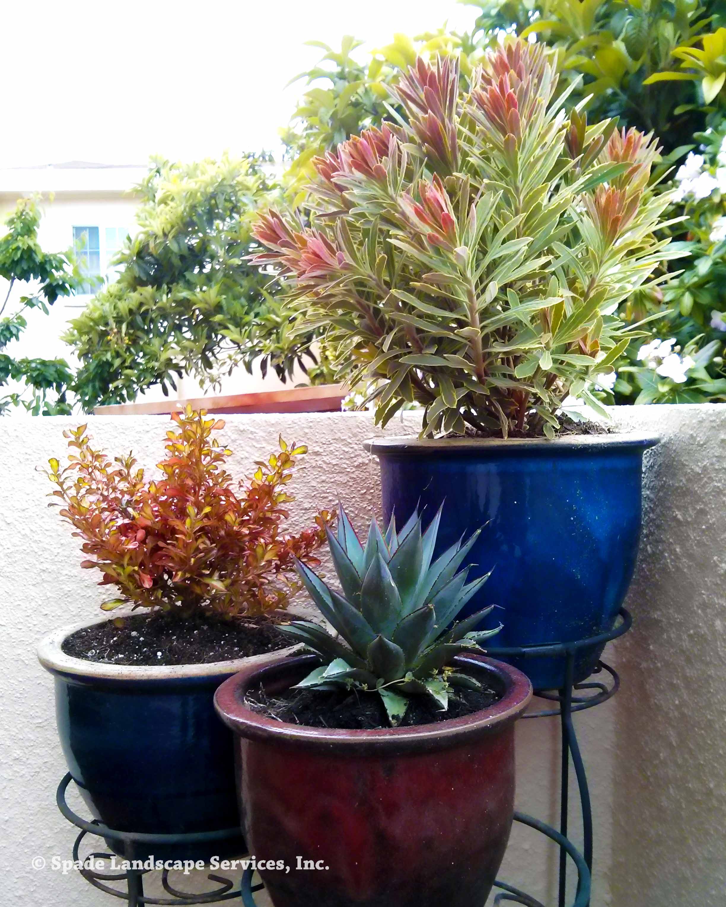 Assorted Containers