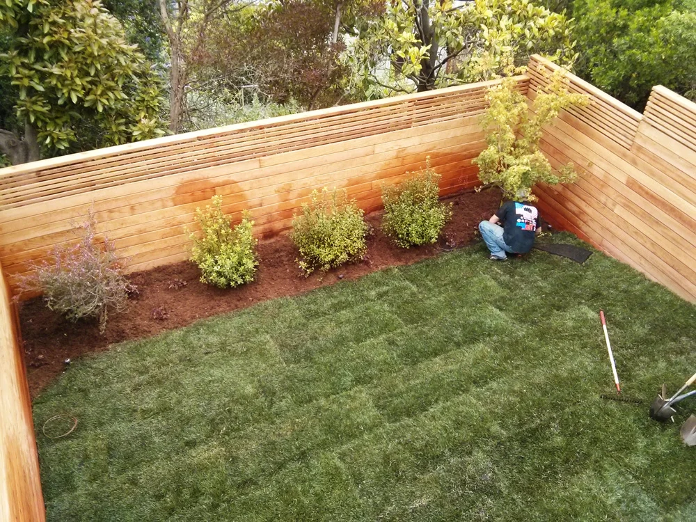 Backyard-Complete-Renovation.jpg