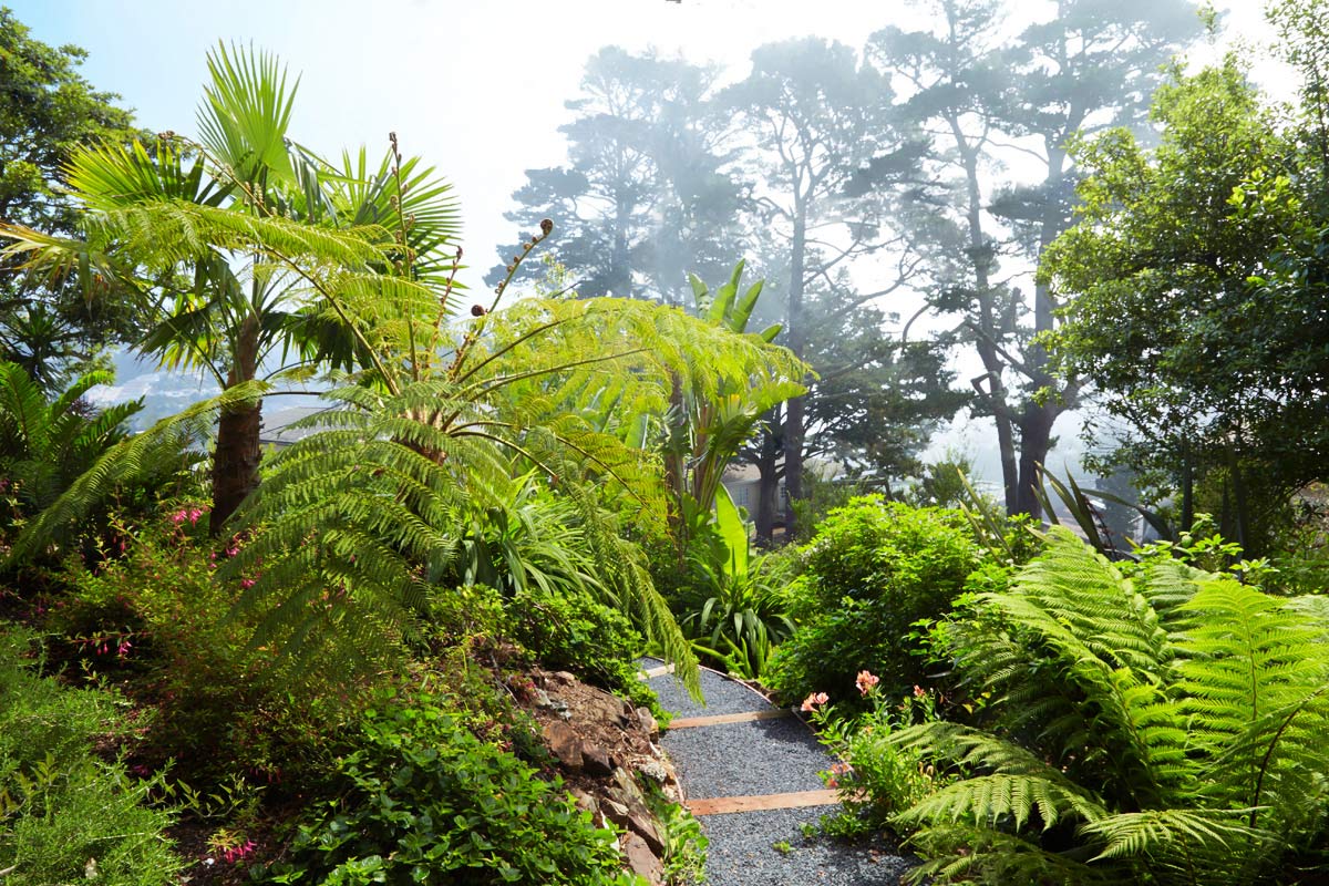 Landscape-in-the-Clouds.jpg