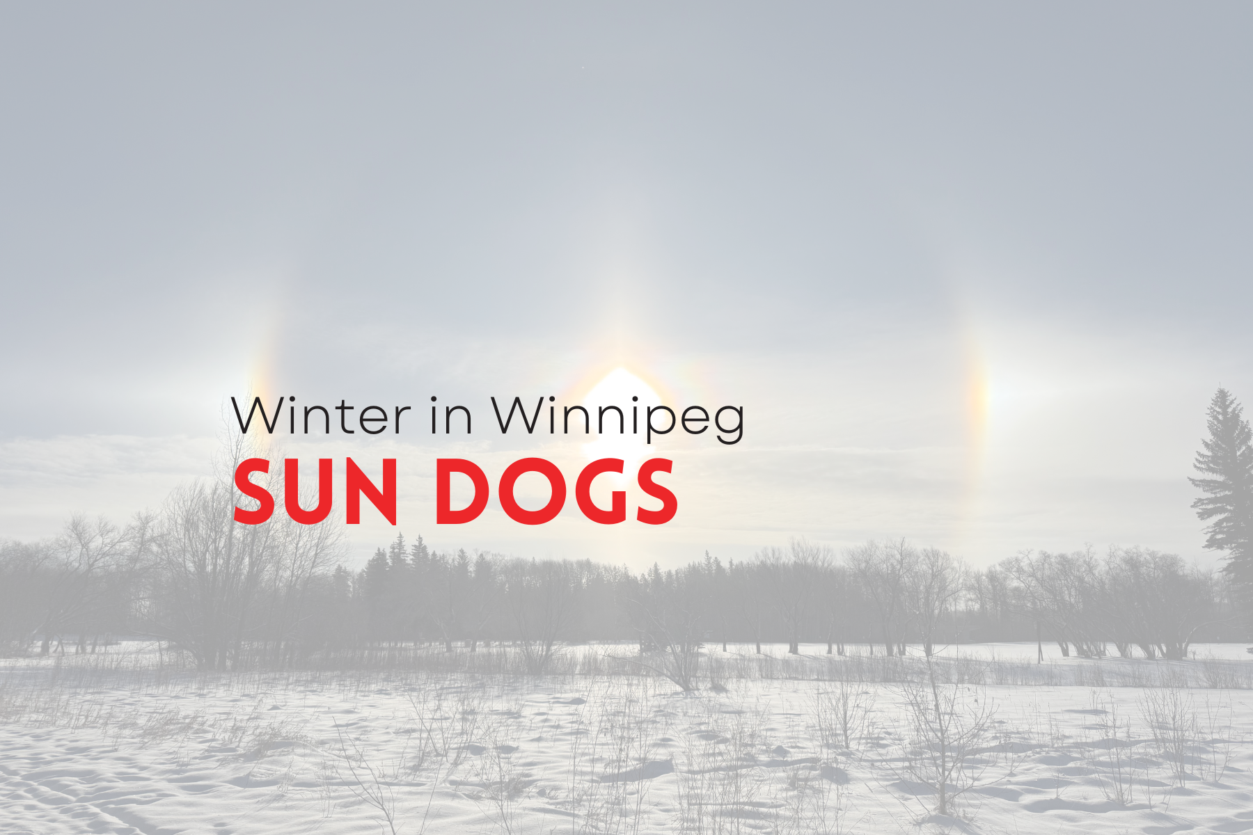 Nestaweya River Trail (1).png