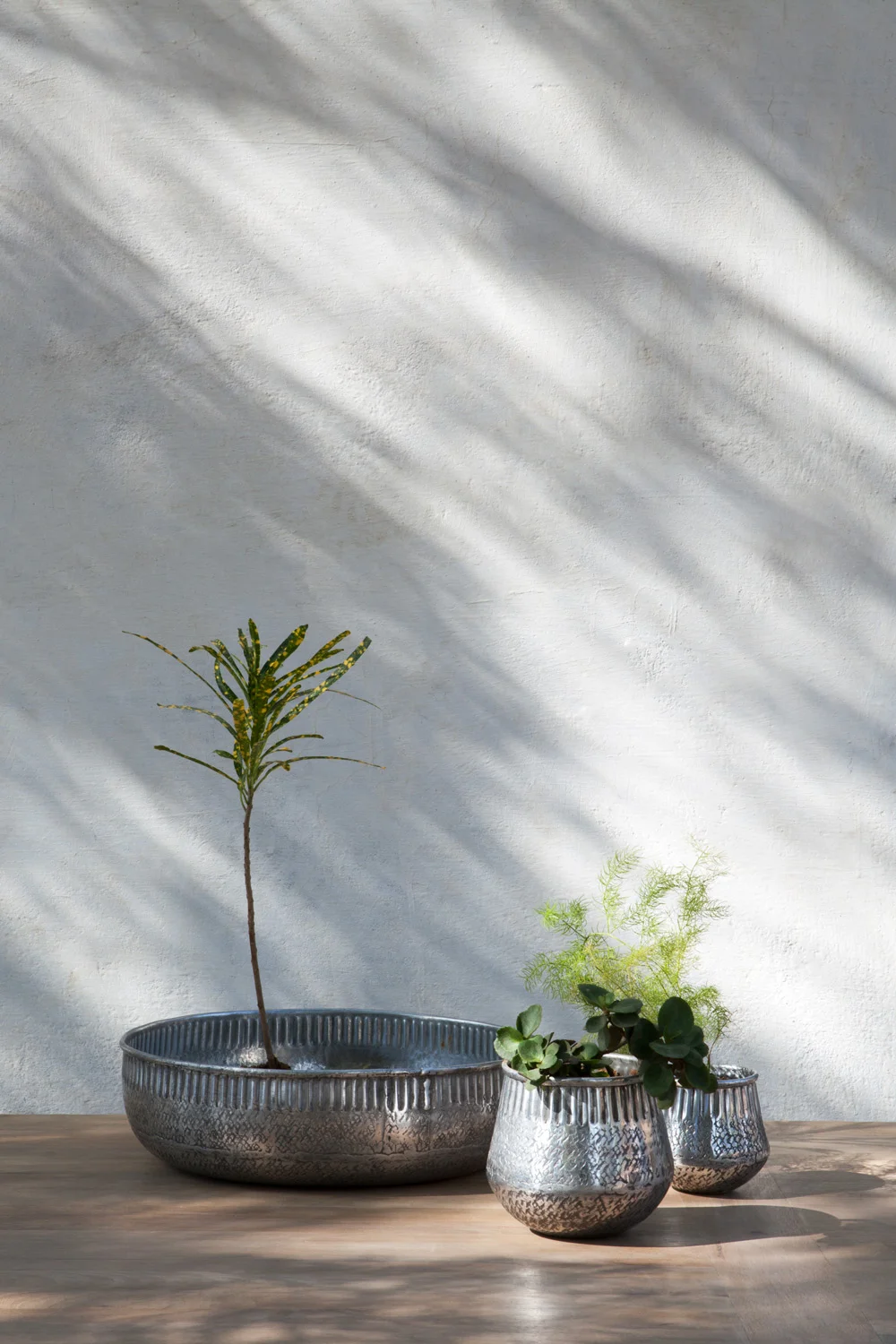 Reha-Antique-Silver-Planters-Group-JAND70-JAND69-JAND71-(1).jpg