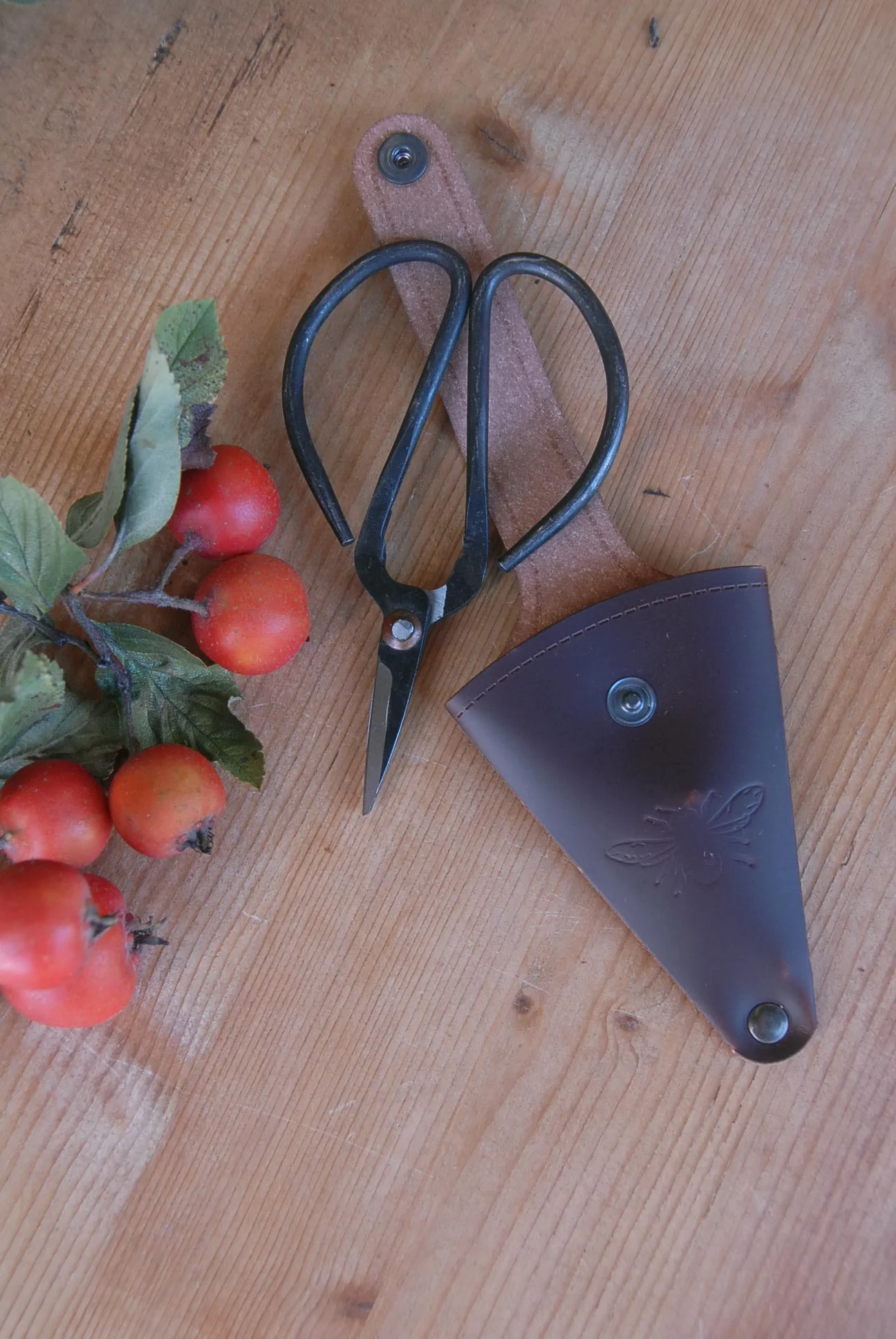 aesthetic_movement_heaven_in_earth_clippers.jpg