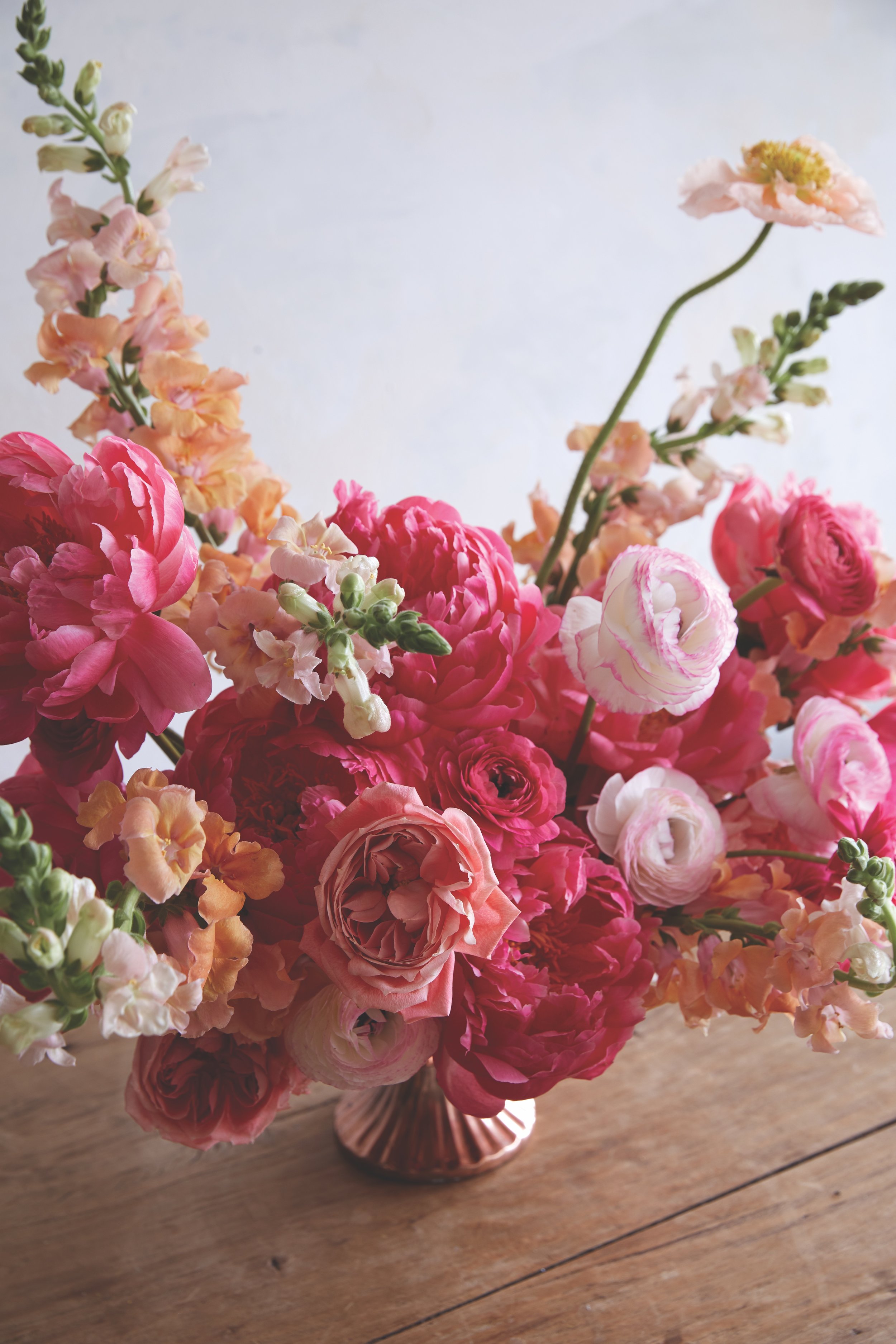 Spring Renewal