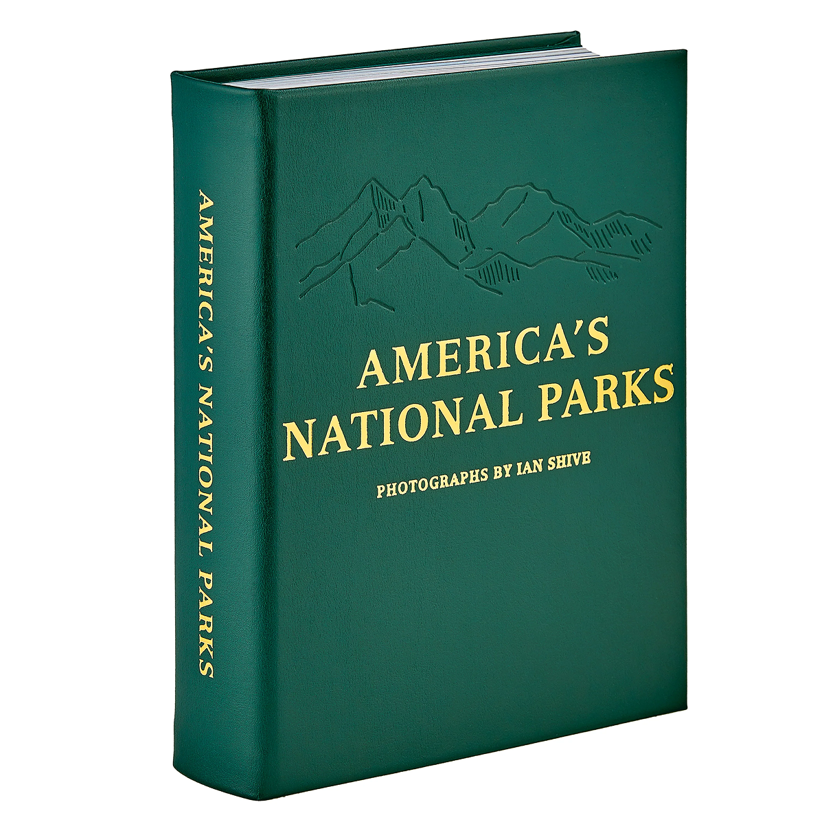 Book Cover Image-1.png