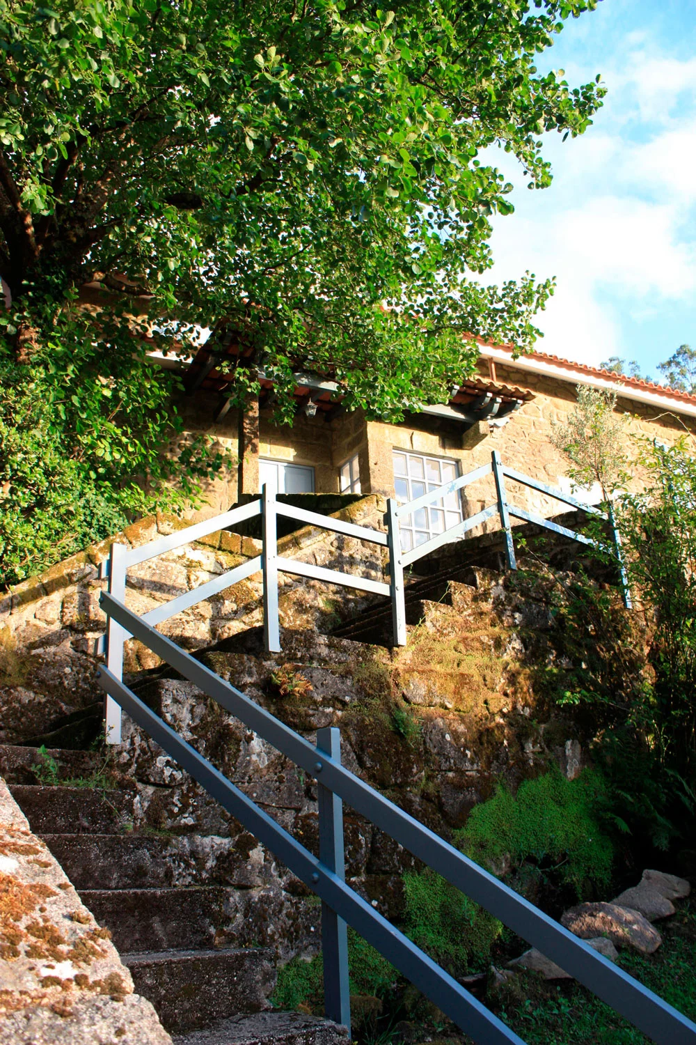 invitro-azenha-moura-img01.jpg