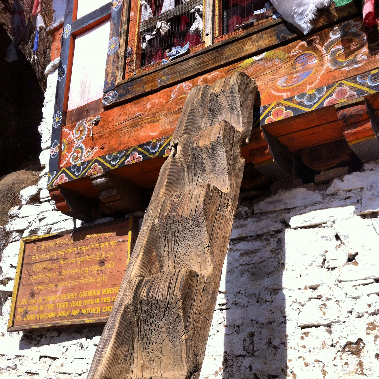 invitro-butao-foto09.jpg