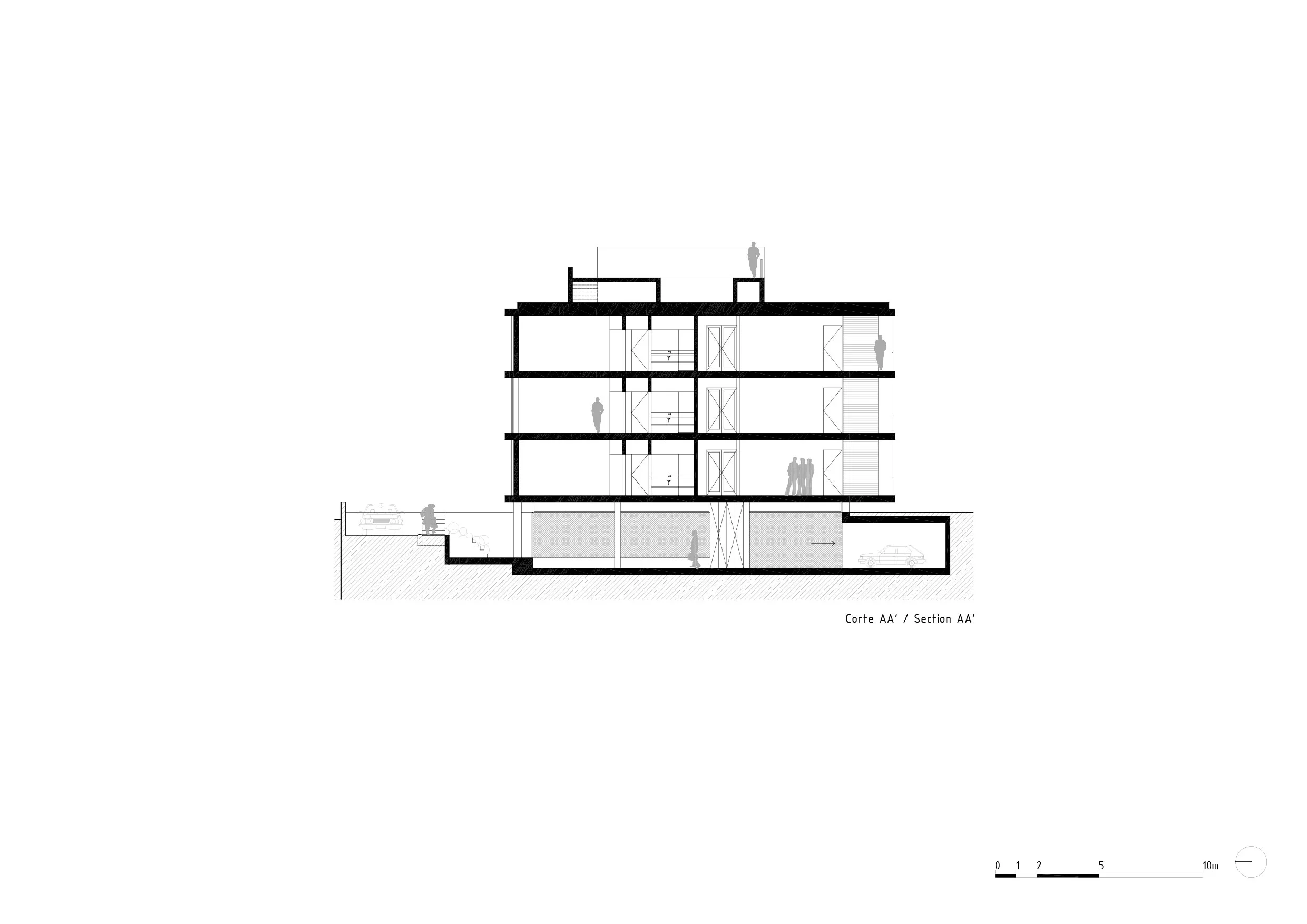 invitro-canidelo-07.jpg