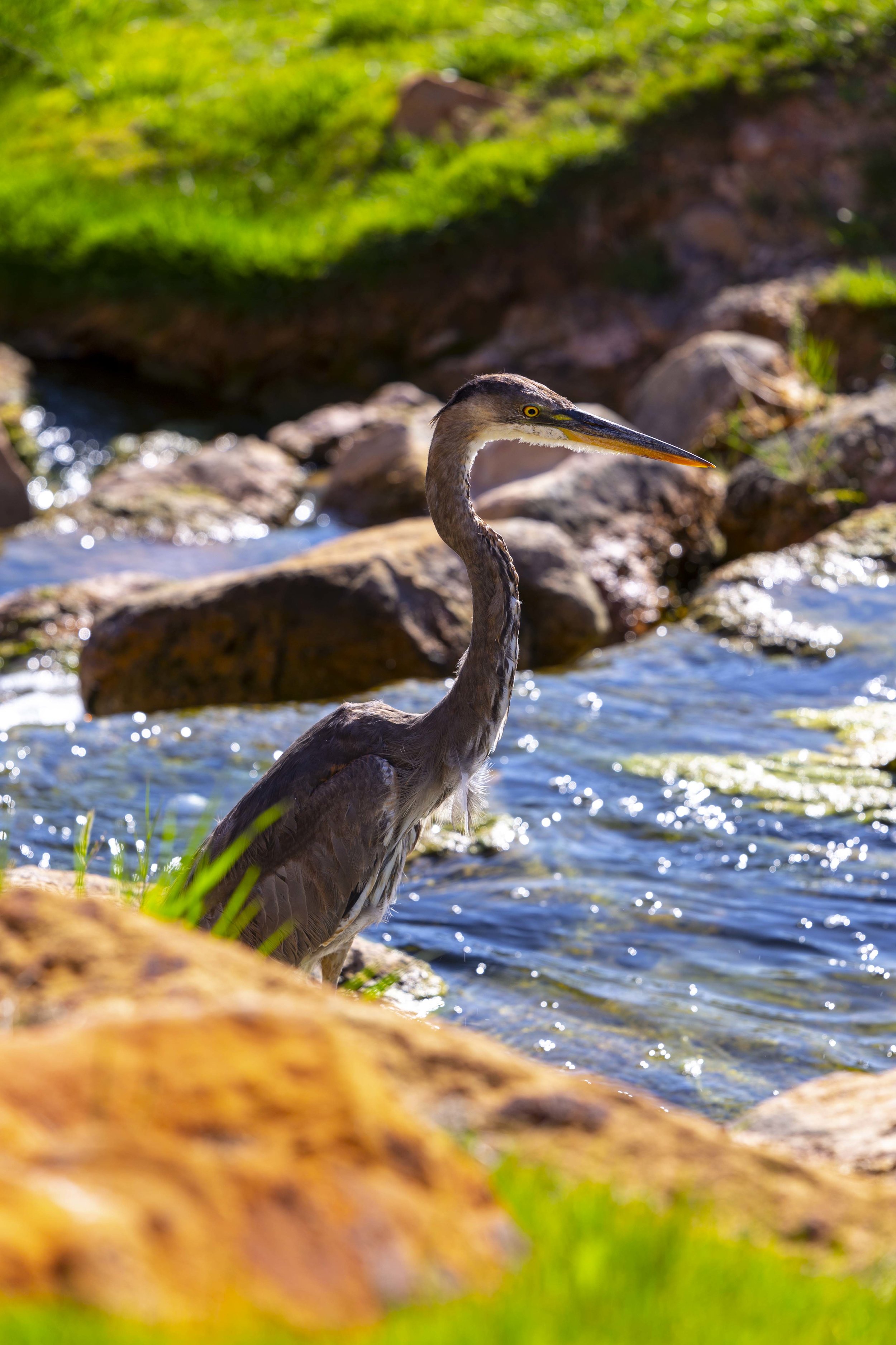 2019 Mesquite Golf Trip 69.JPG
