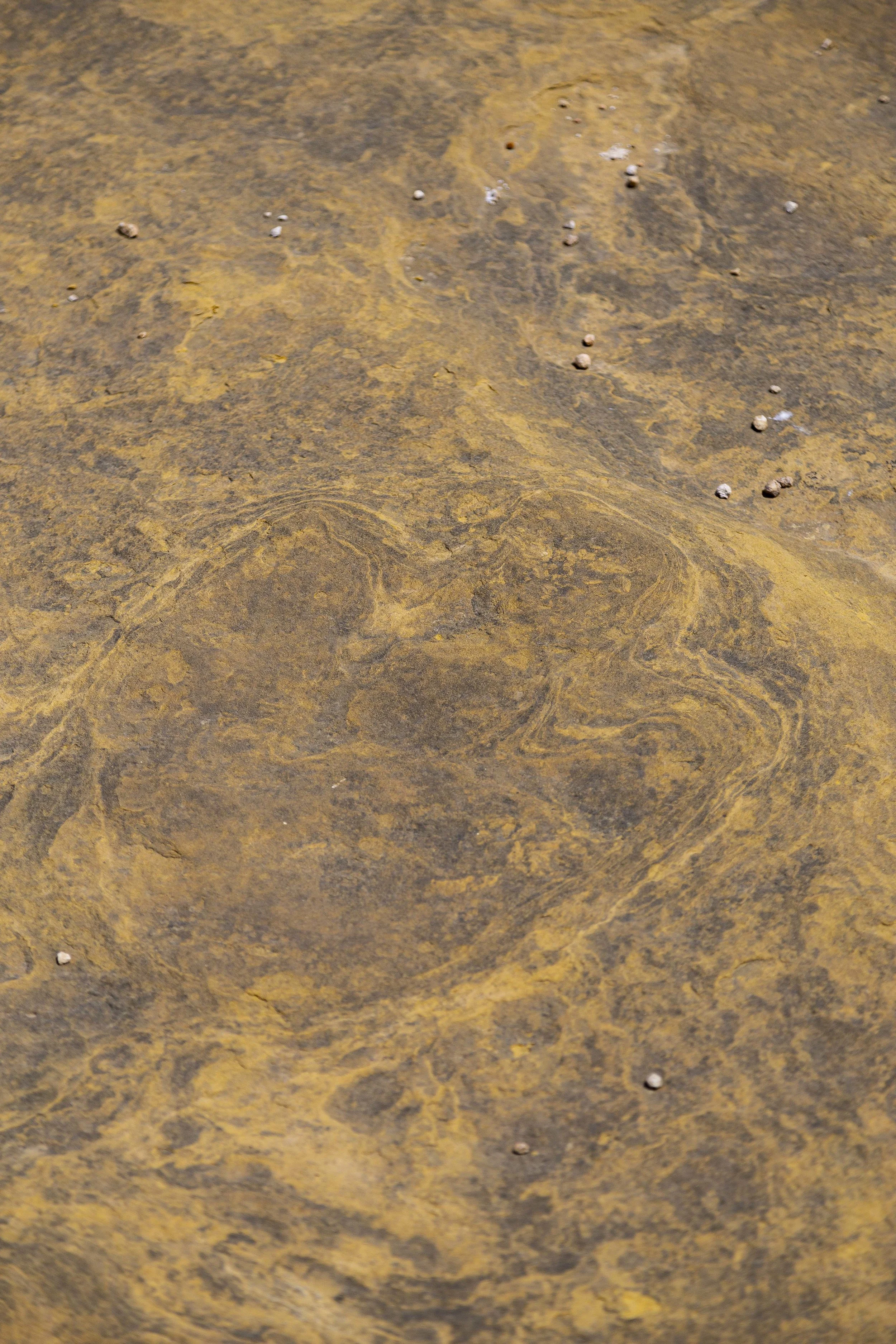 2019 Escalante Canyoneering Trip 082.JPG