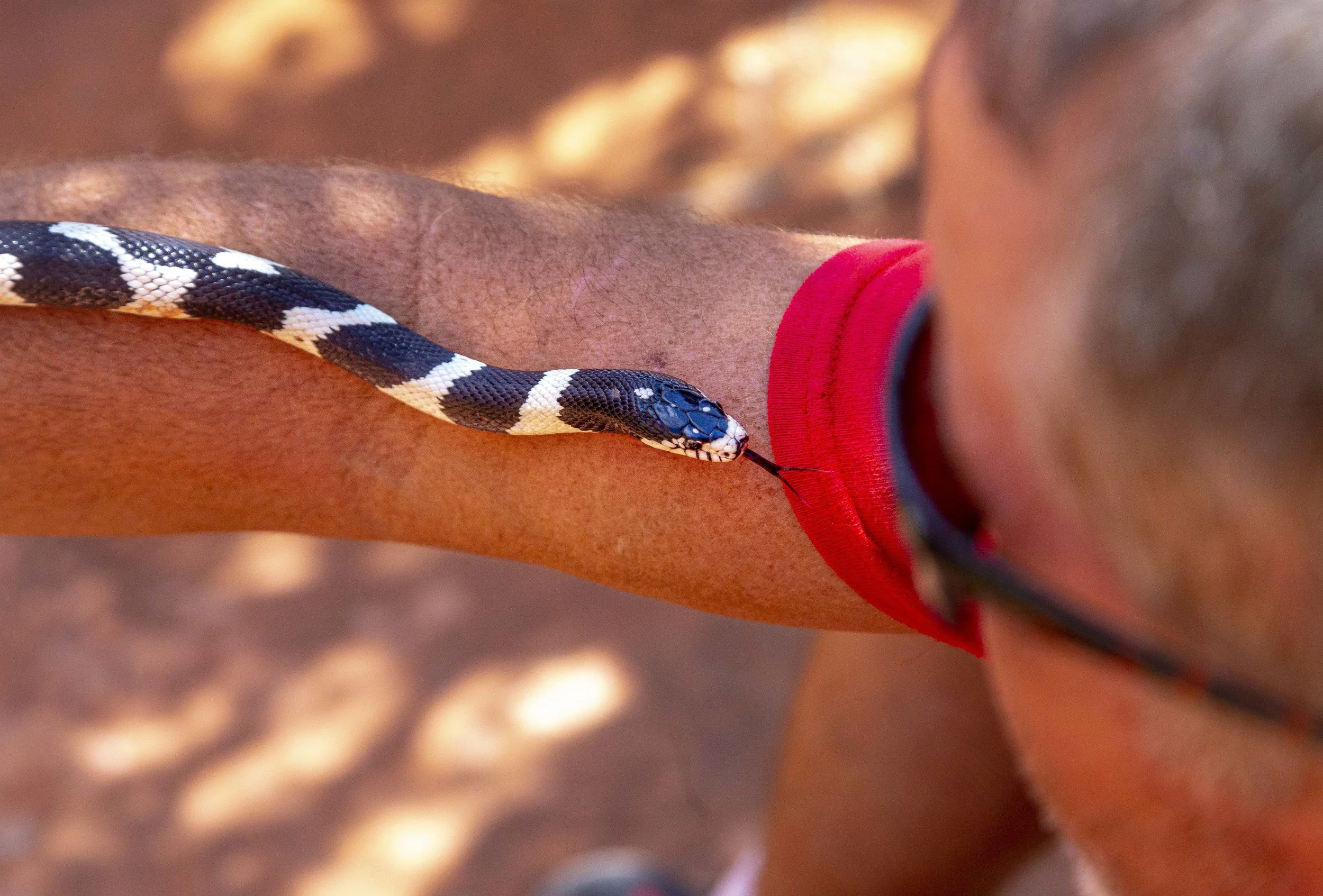 2019 Escalante Canyoneering Trip 074.JPG