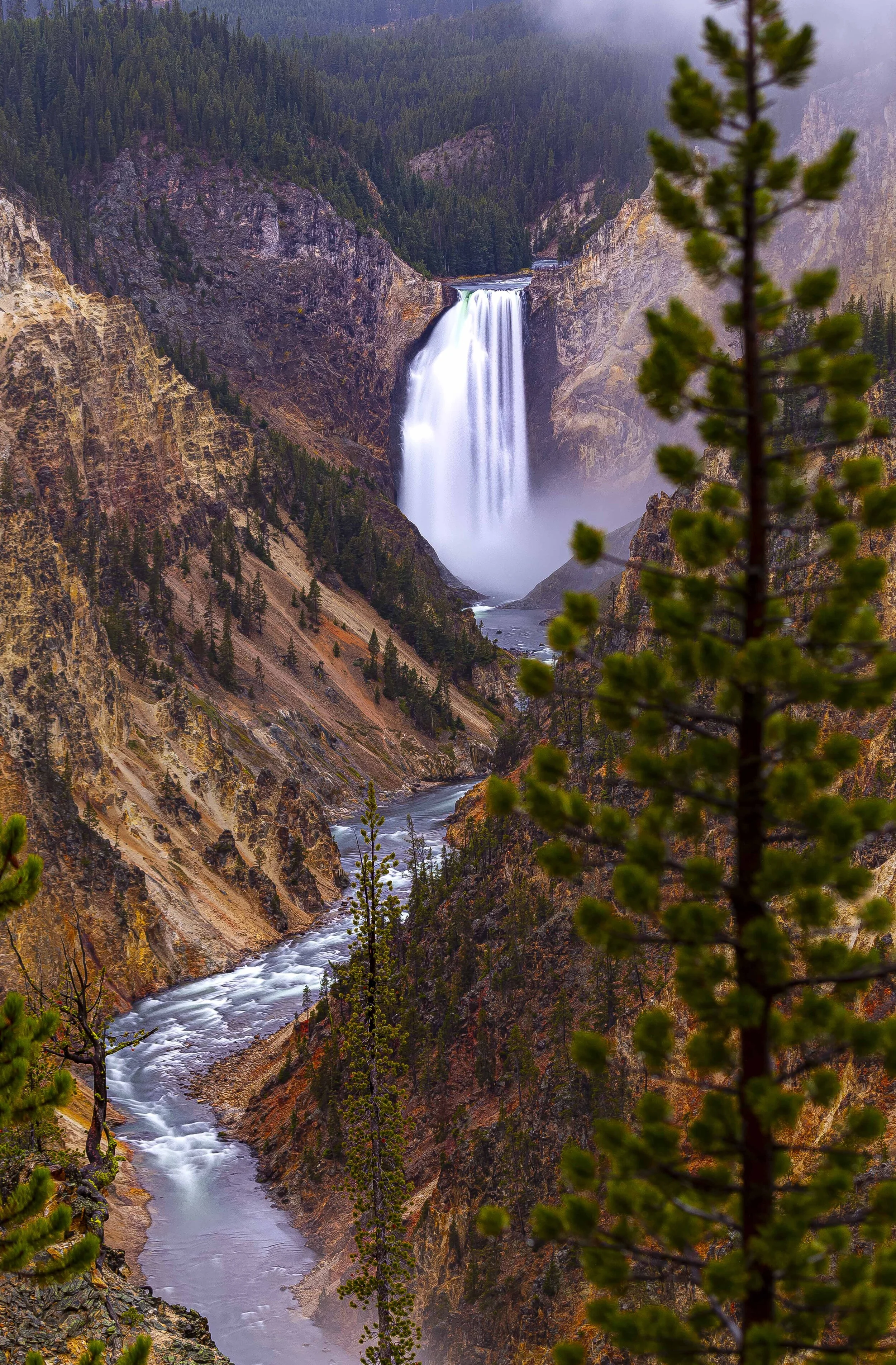 2019 Yellowstone NP Trip 02.JPG