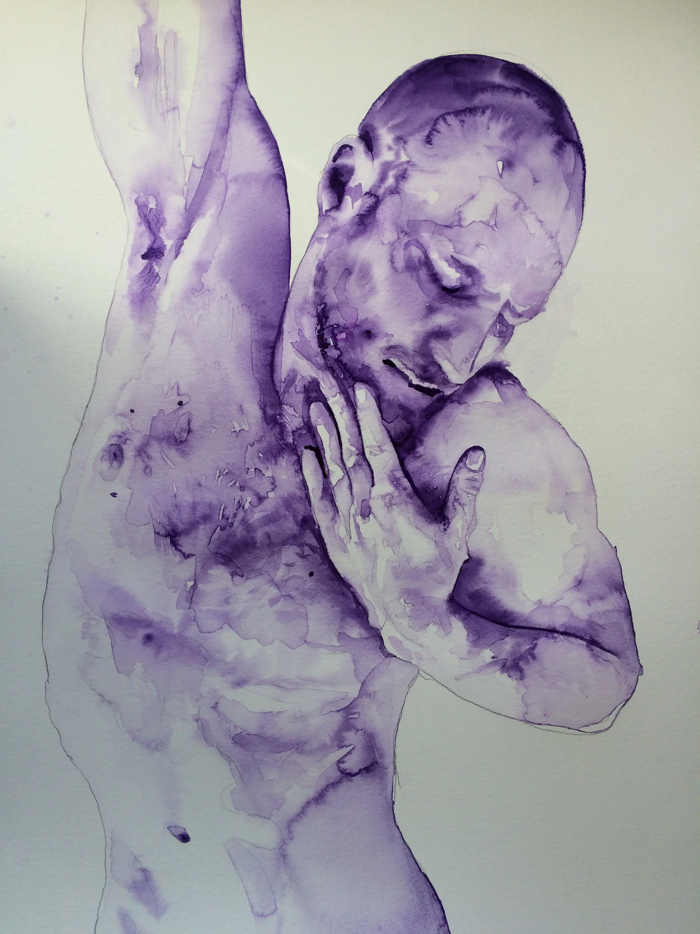 Pavel (Violet)
