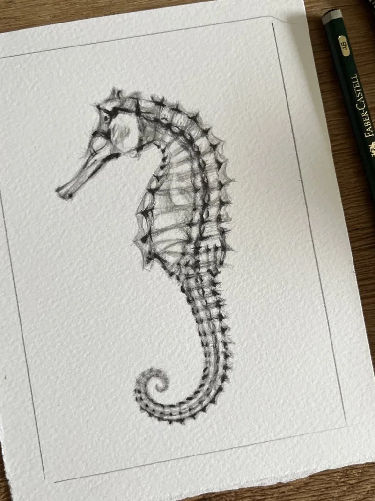 Recumbent (Seahorse)