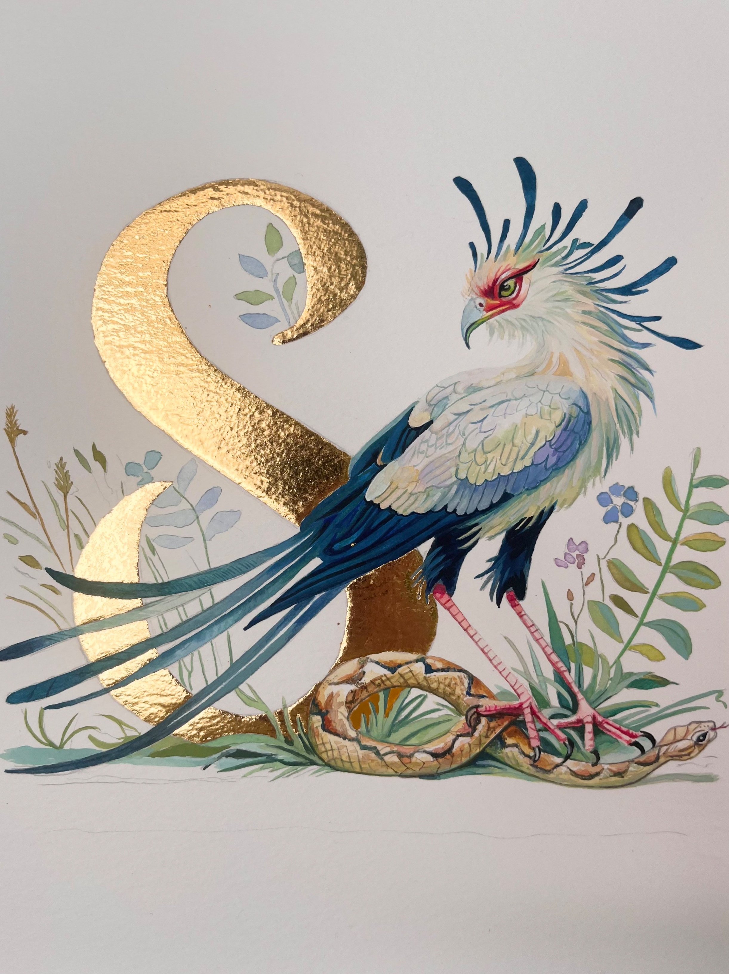 'S' is for Secretary Bird