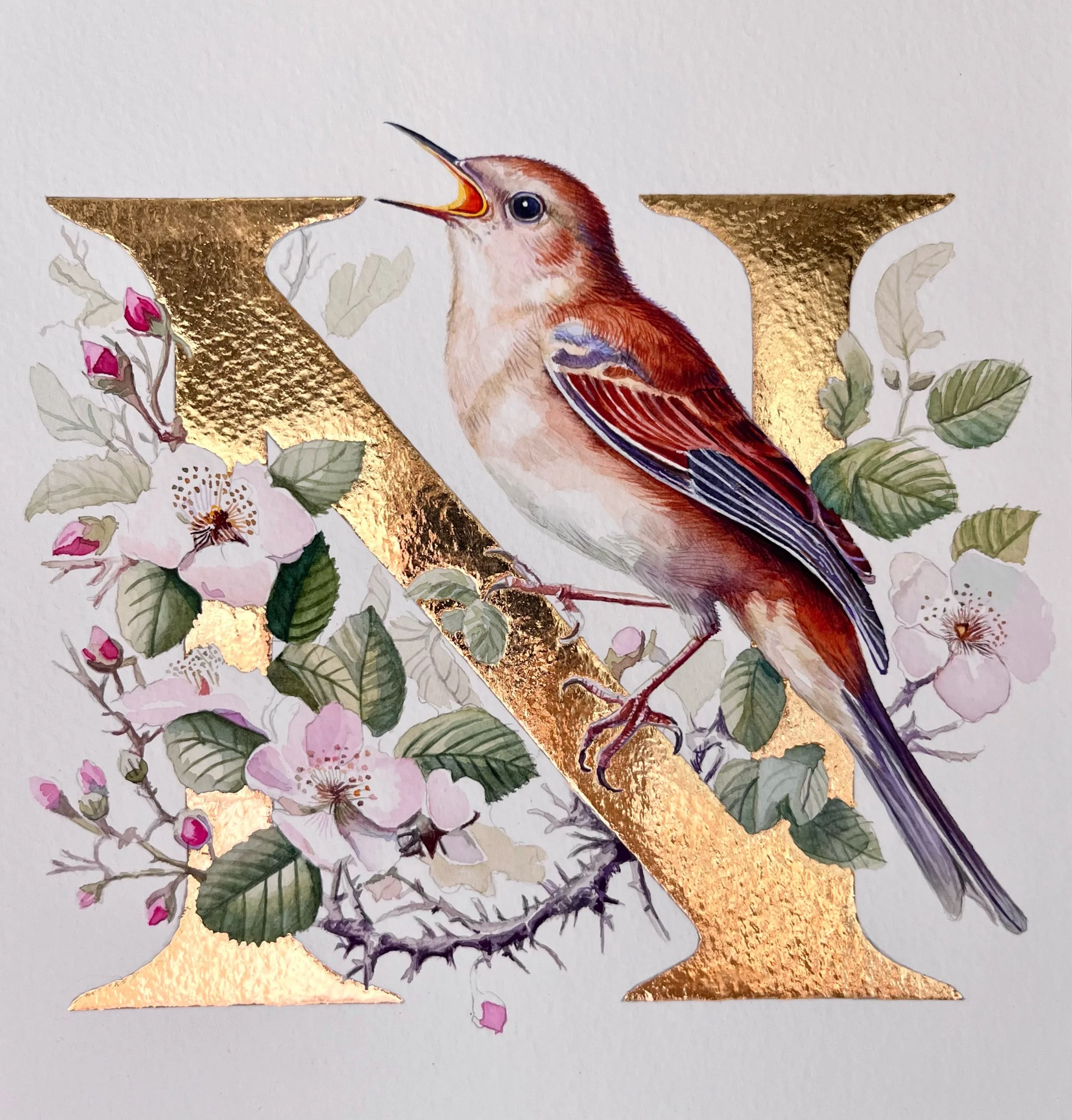 ‘N’ is for Nightingale