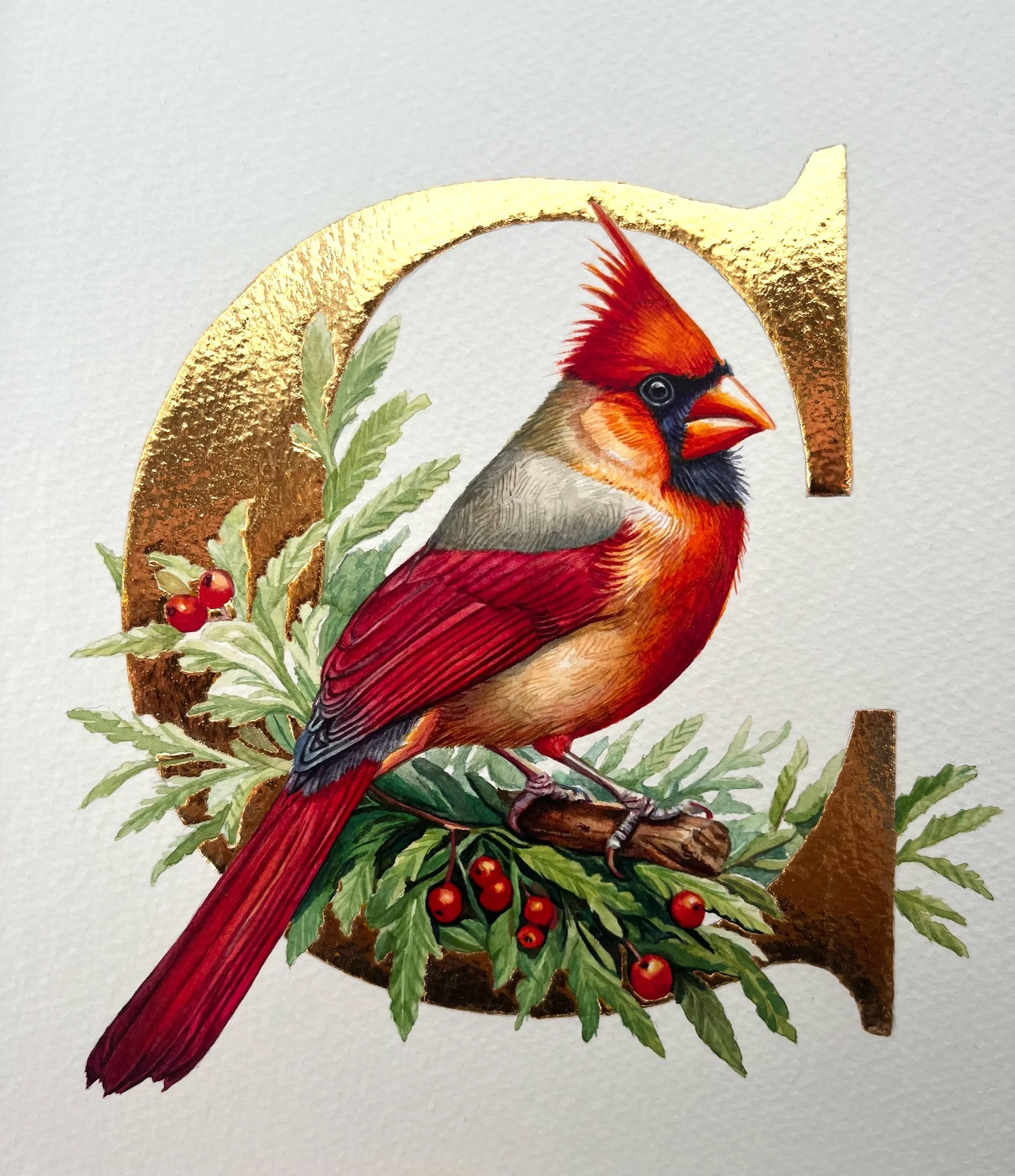 ‘C’ is for Cardinal