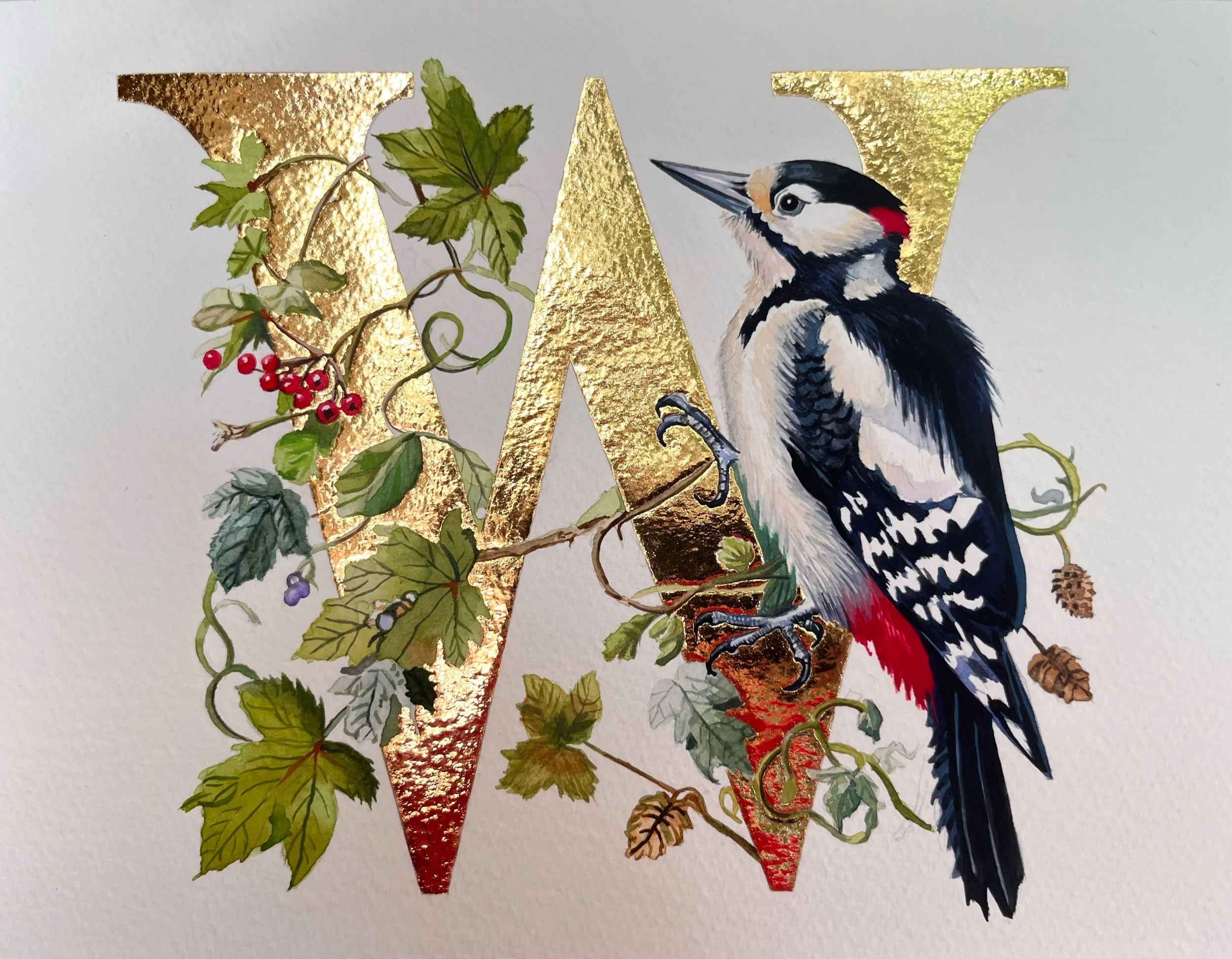 ‘W’ is for Woodpecker (Great spotted)