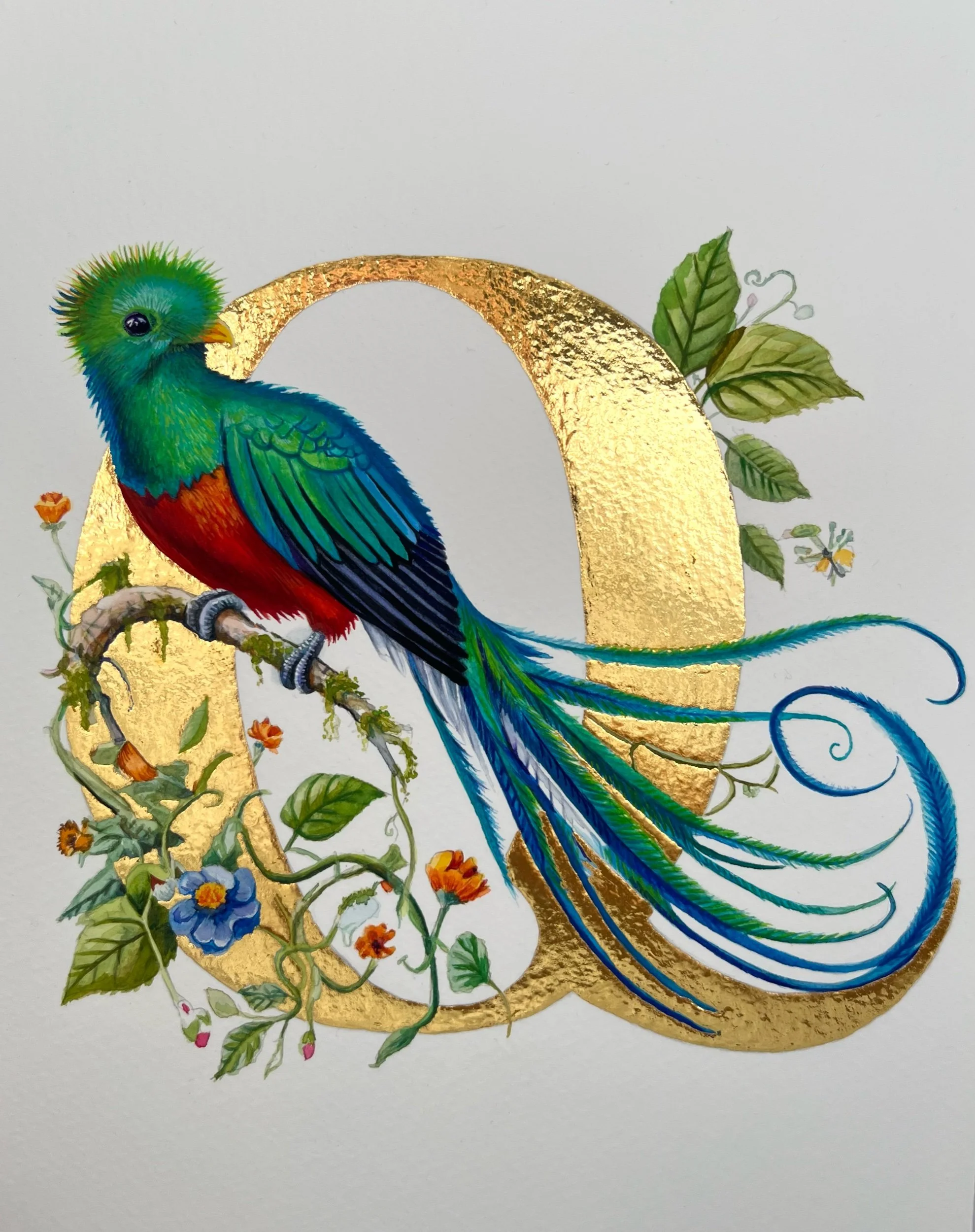 ‘Q’ is for Quetzal