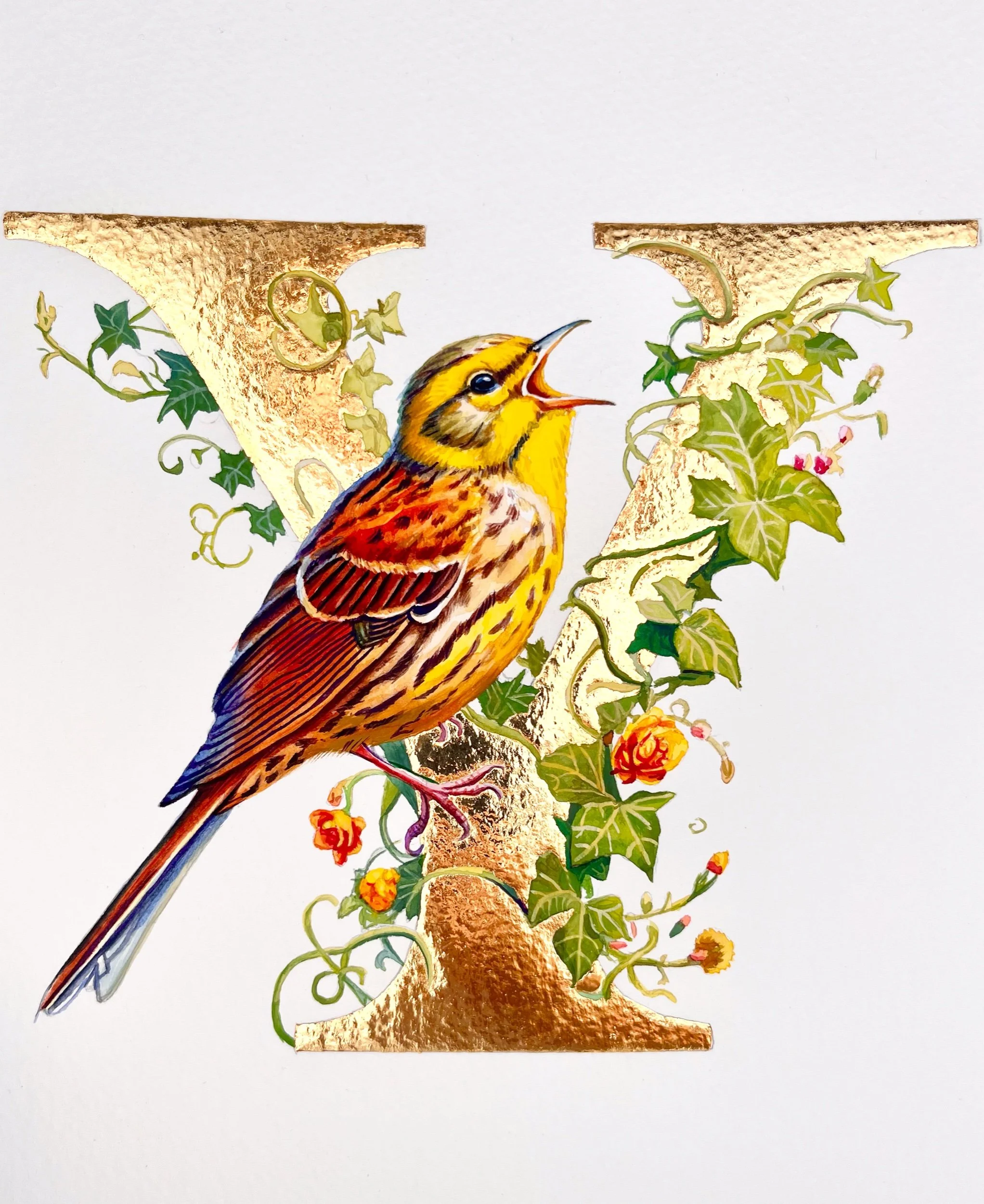 ‘Y’ is for Yellowhammer