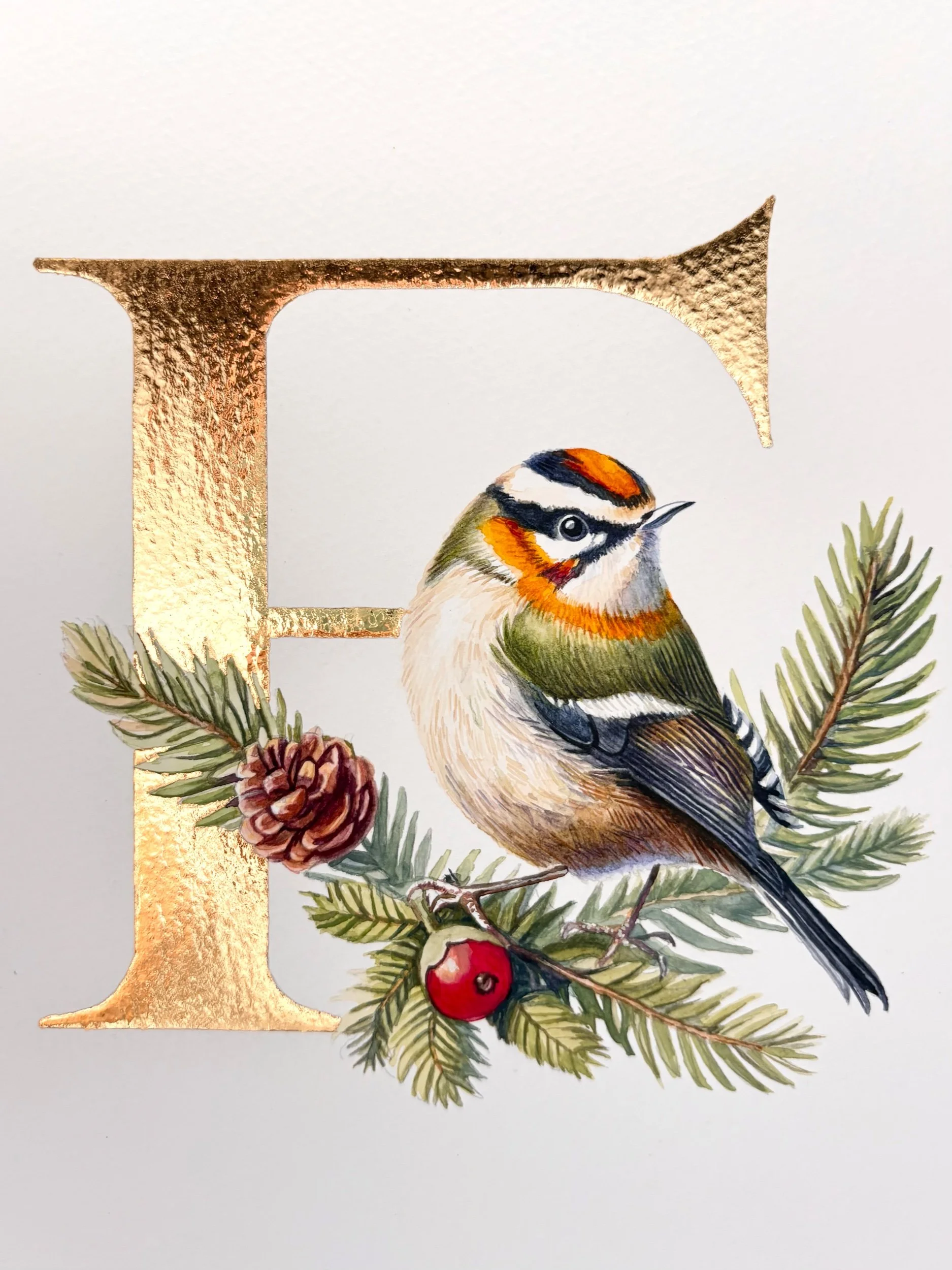 ‘F’ is for Firecrest