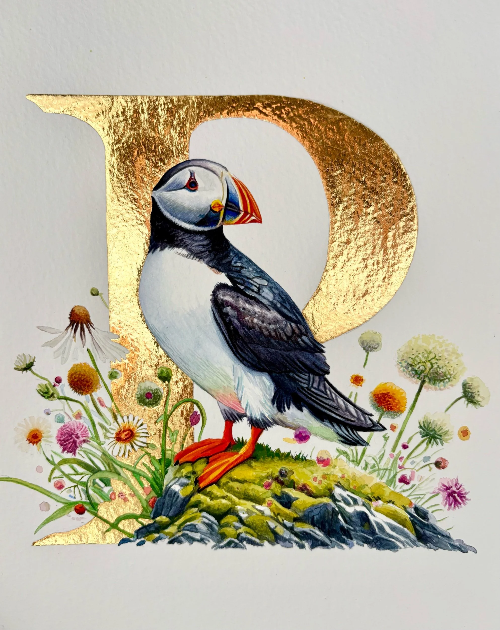 ‘P’ is for Puffin