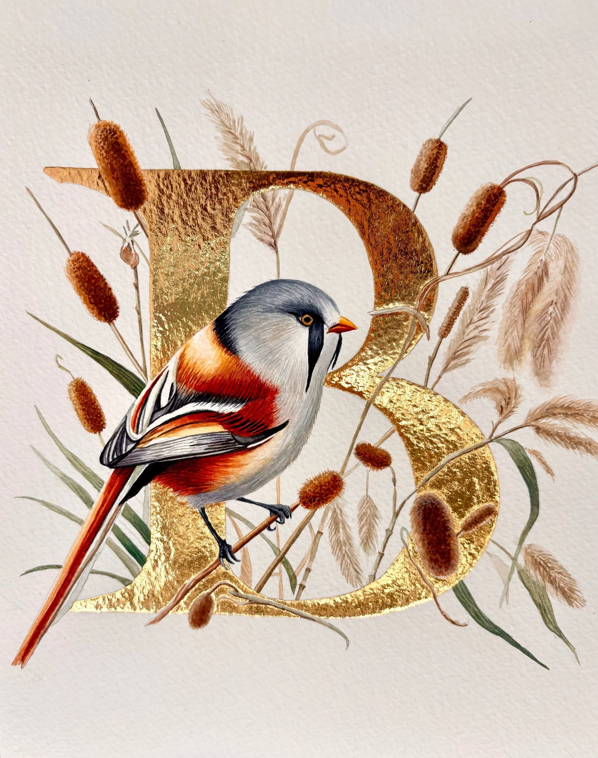 ‘B’ is for Bearded Reedling