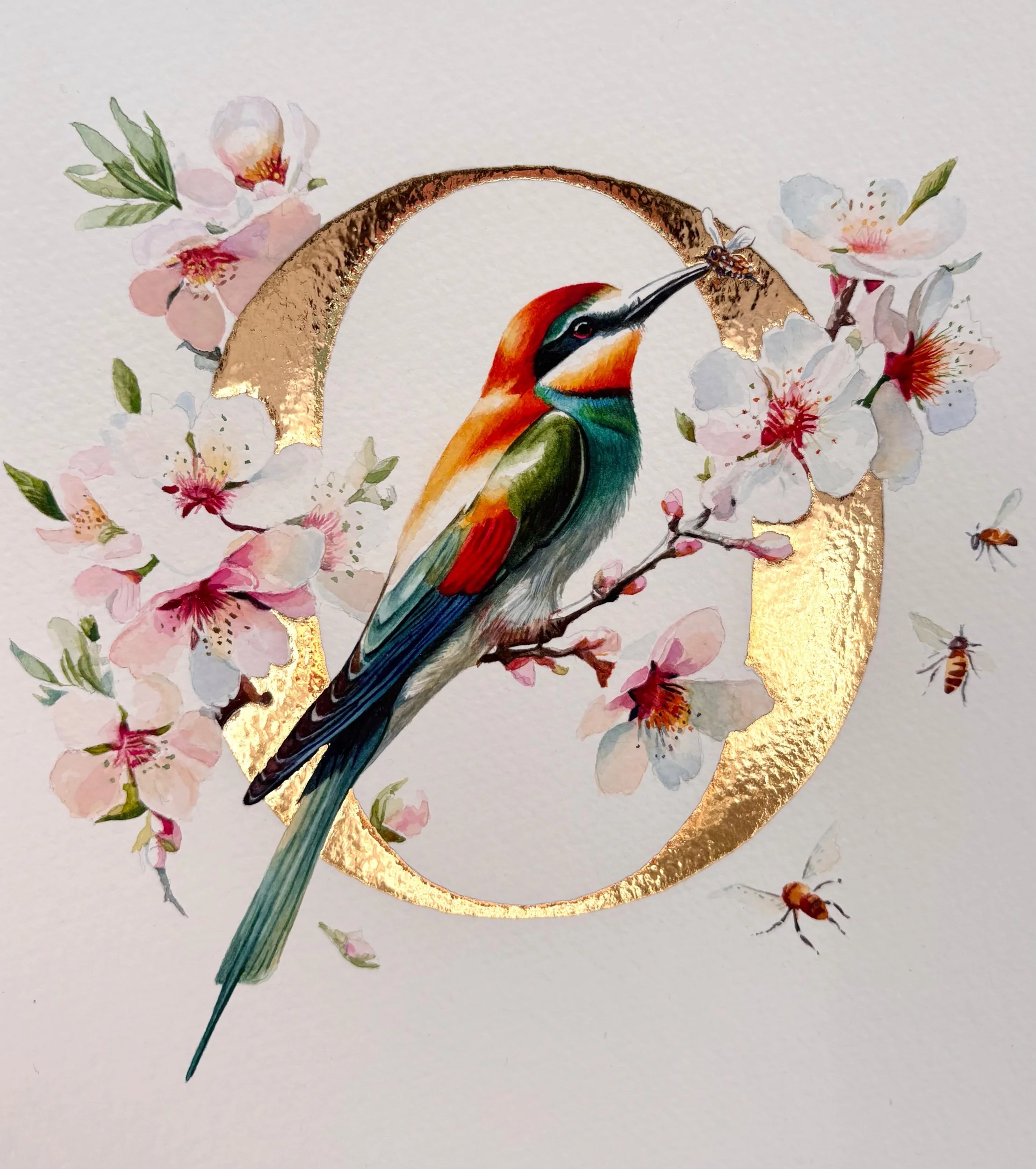 'O' with a European Bee-eater