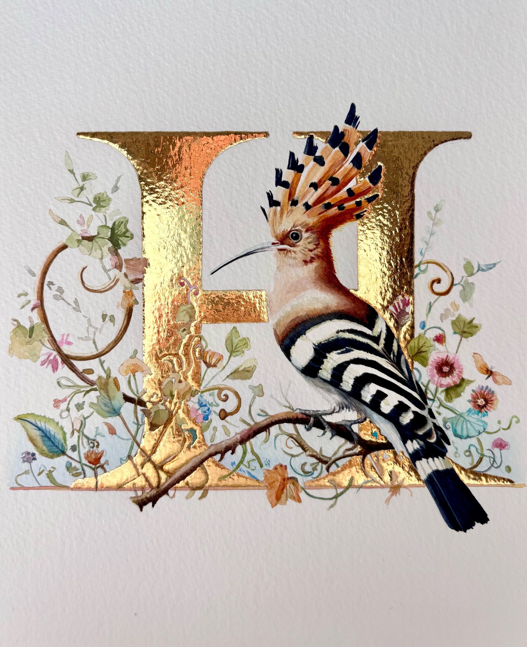 'H' is for Hoopoe
