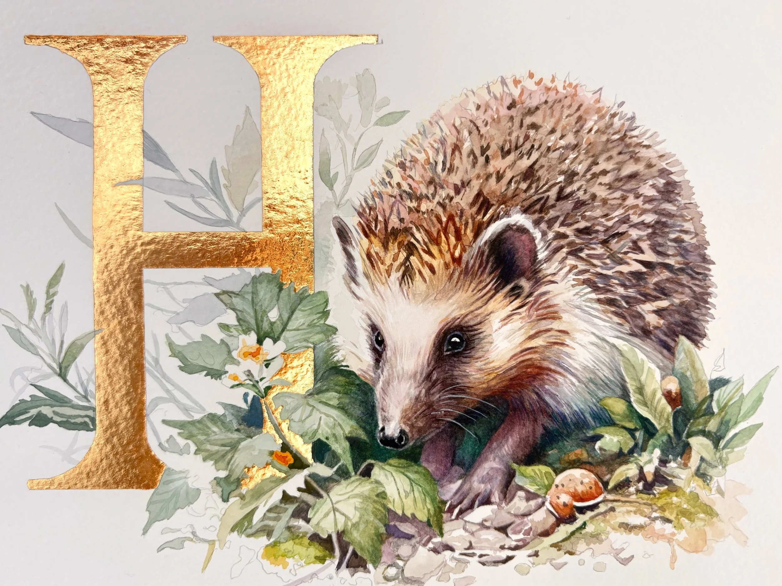 'H' is for Hedgehog