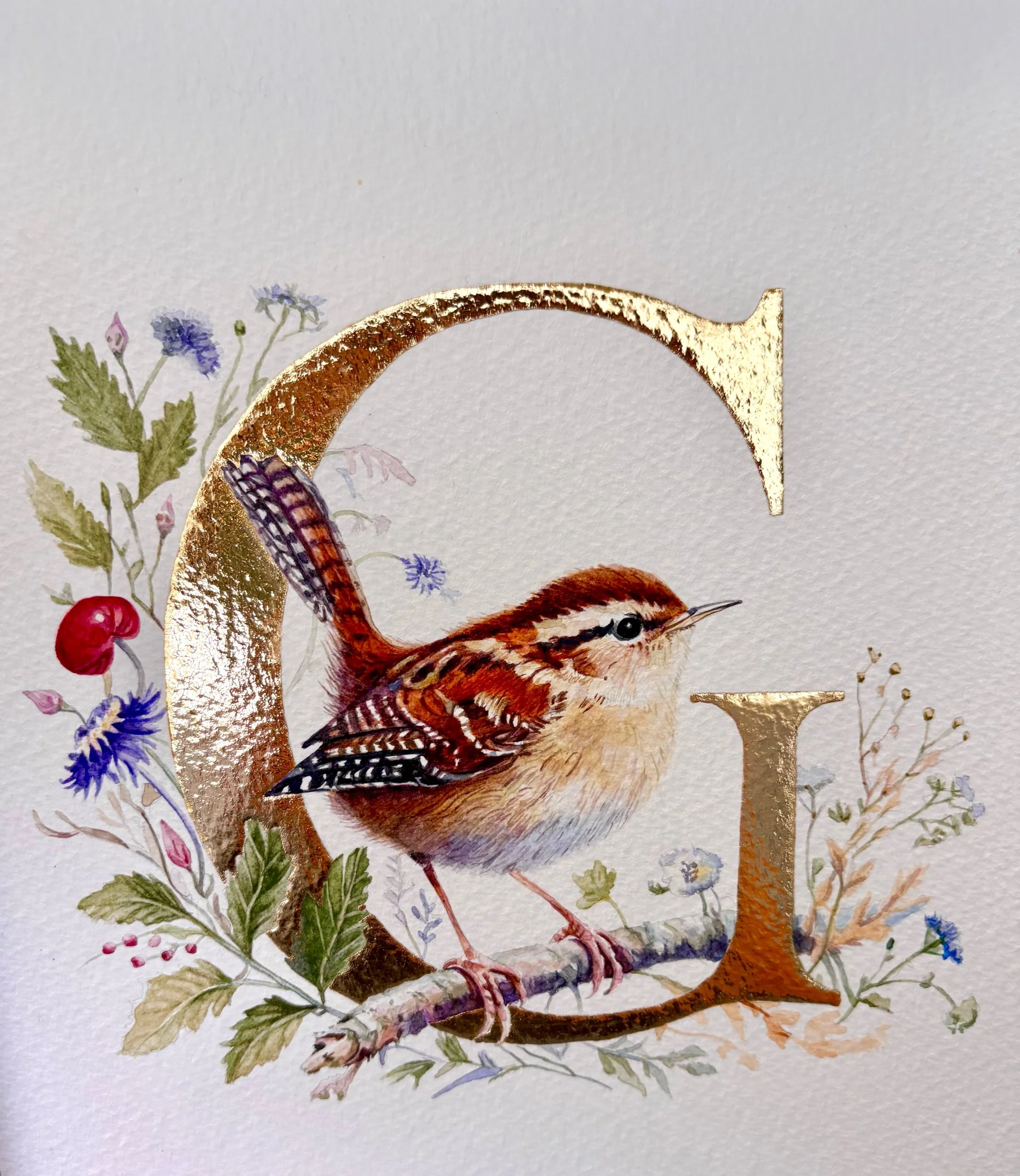 'G' with a Wren