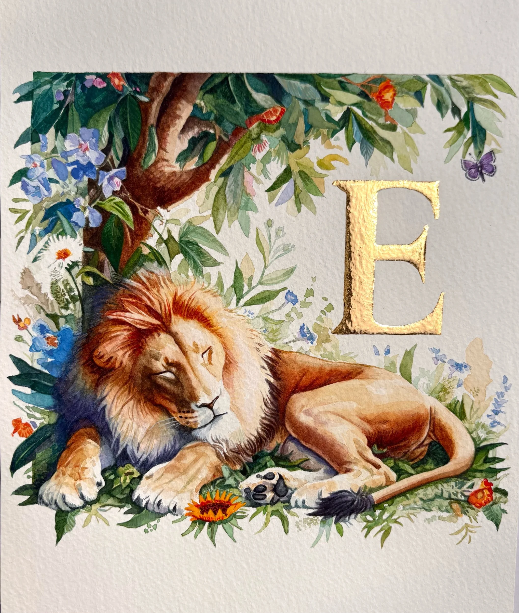 'E' with a sleeping Lion
