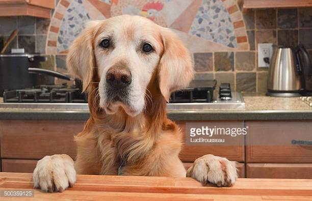 Photo by LucBrousseau/iStock / Getty Images