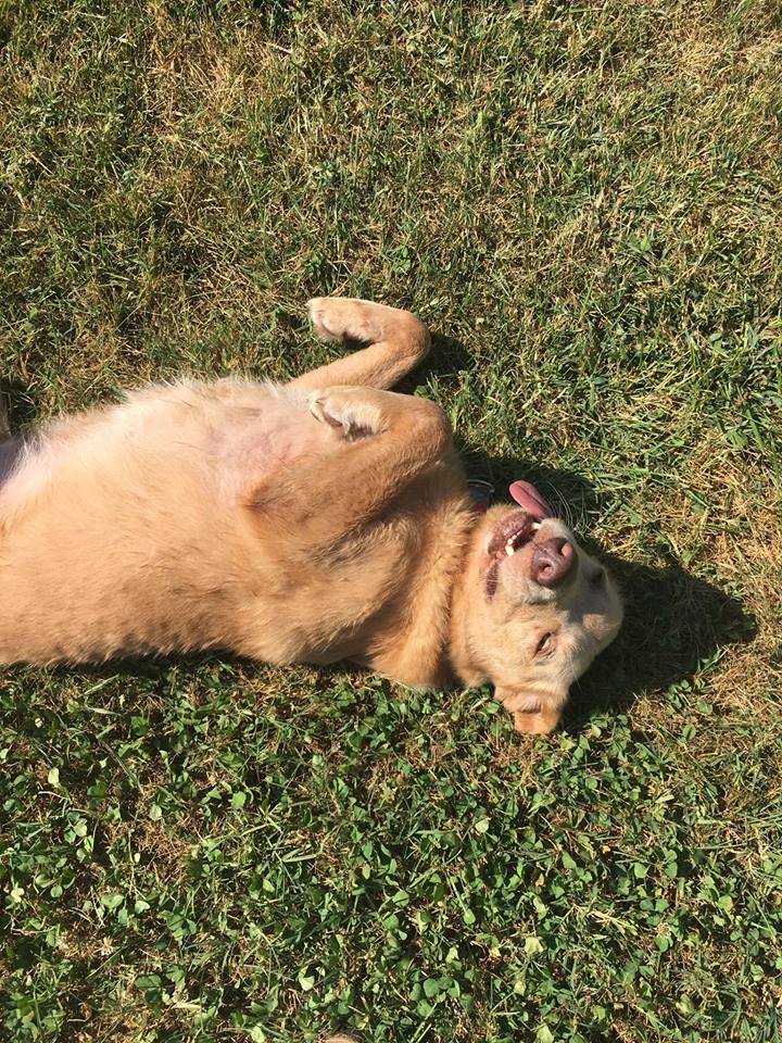 sunny.jpg