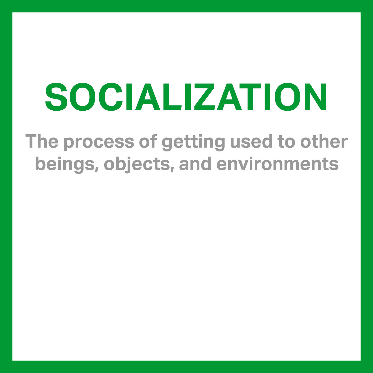 Socialization.jpg
