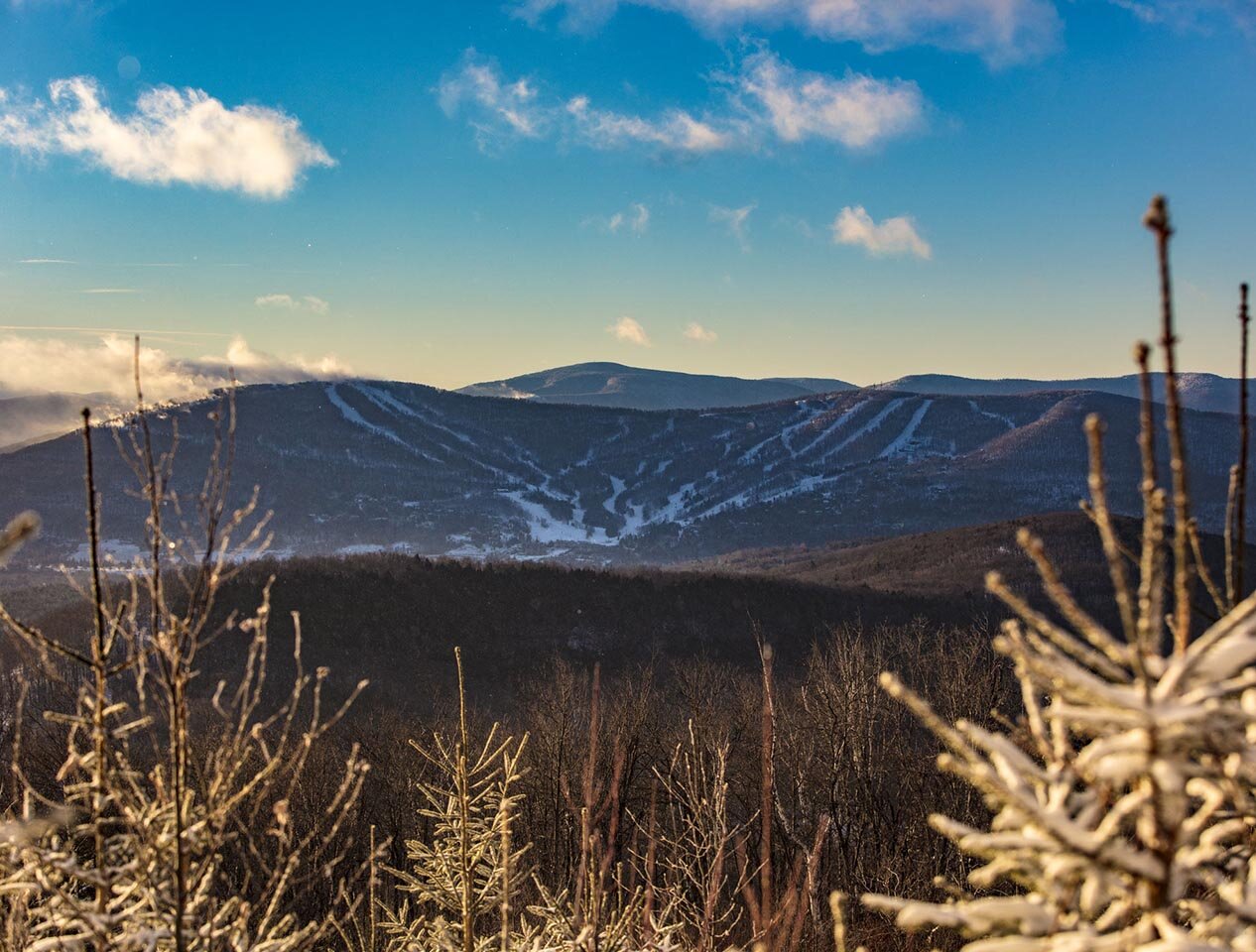 Winter view of Windham Mountain in the Catskills in the distance, with evergreen trees in the foreground. 